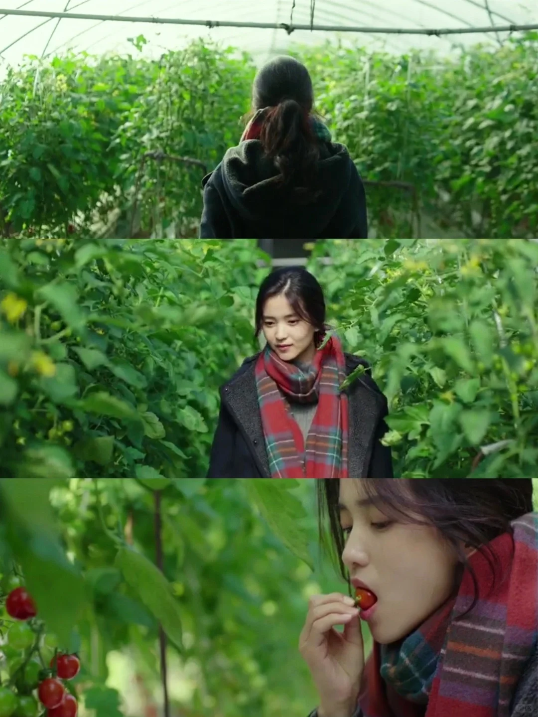 巨美巨治愈‼️强烈推荐给低谷期的你‼️