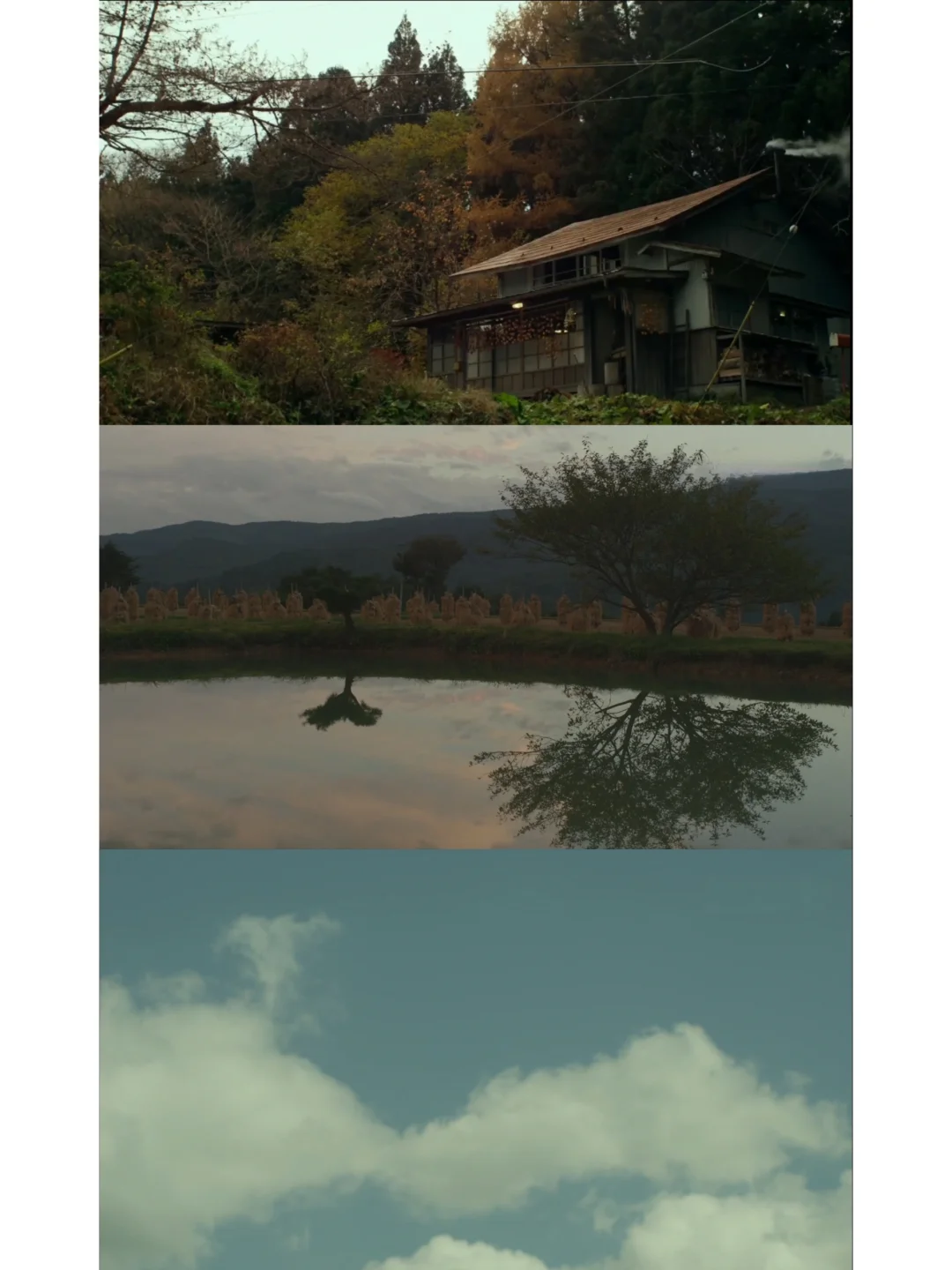 给枯燥的生活加点乐趣