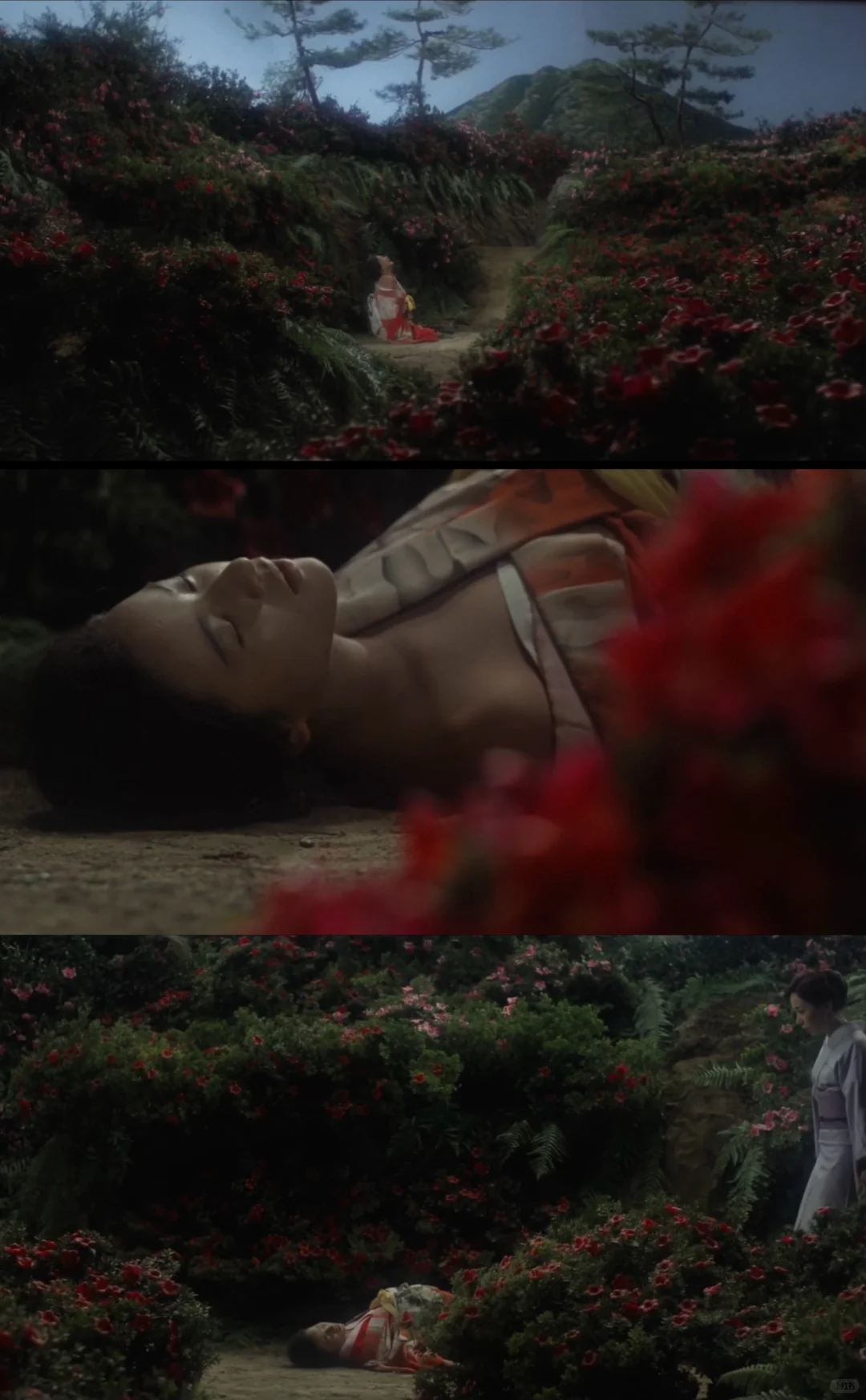 因果轮回与禁忌之爱