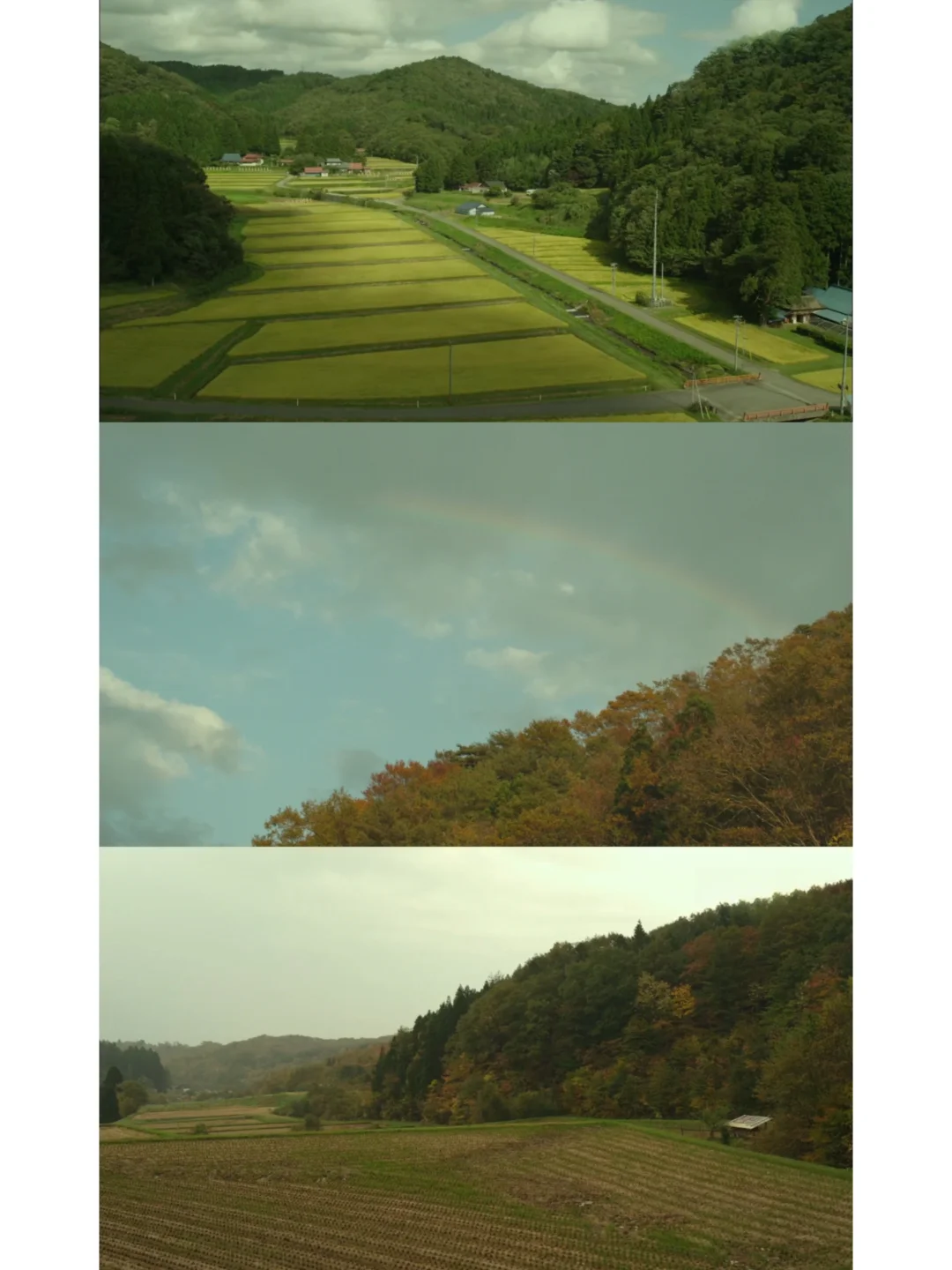 给枯燥的生活加点乐趣