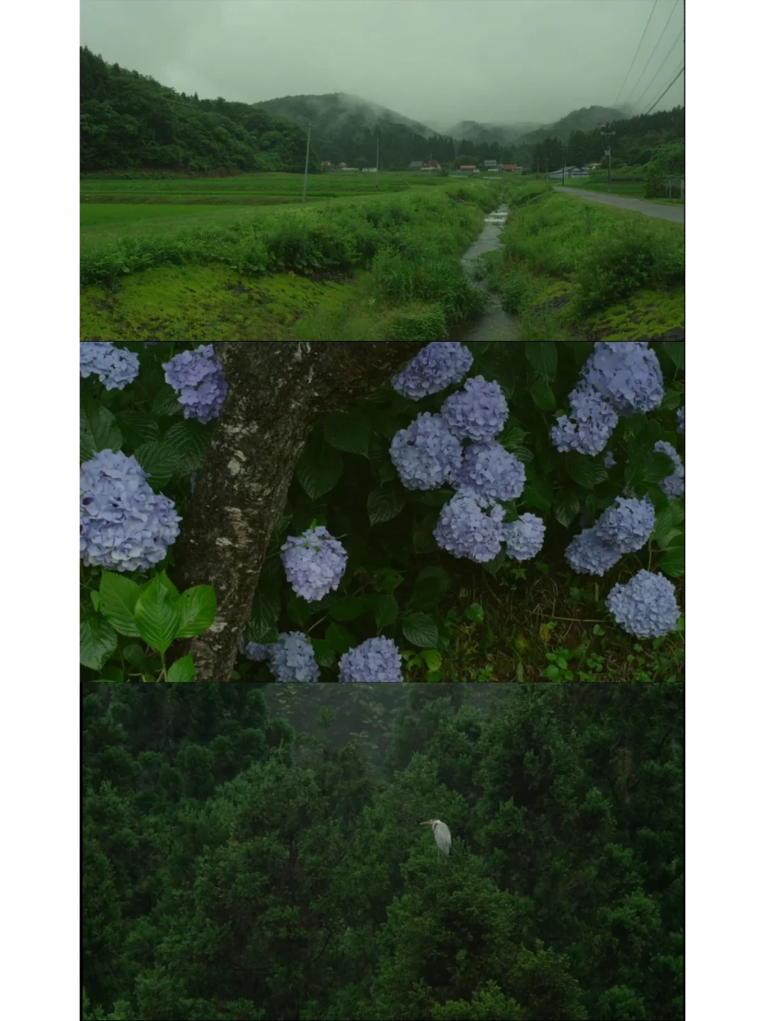 给枯燥的生活加点乐趣