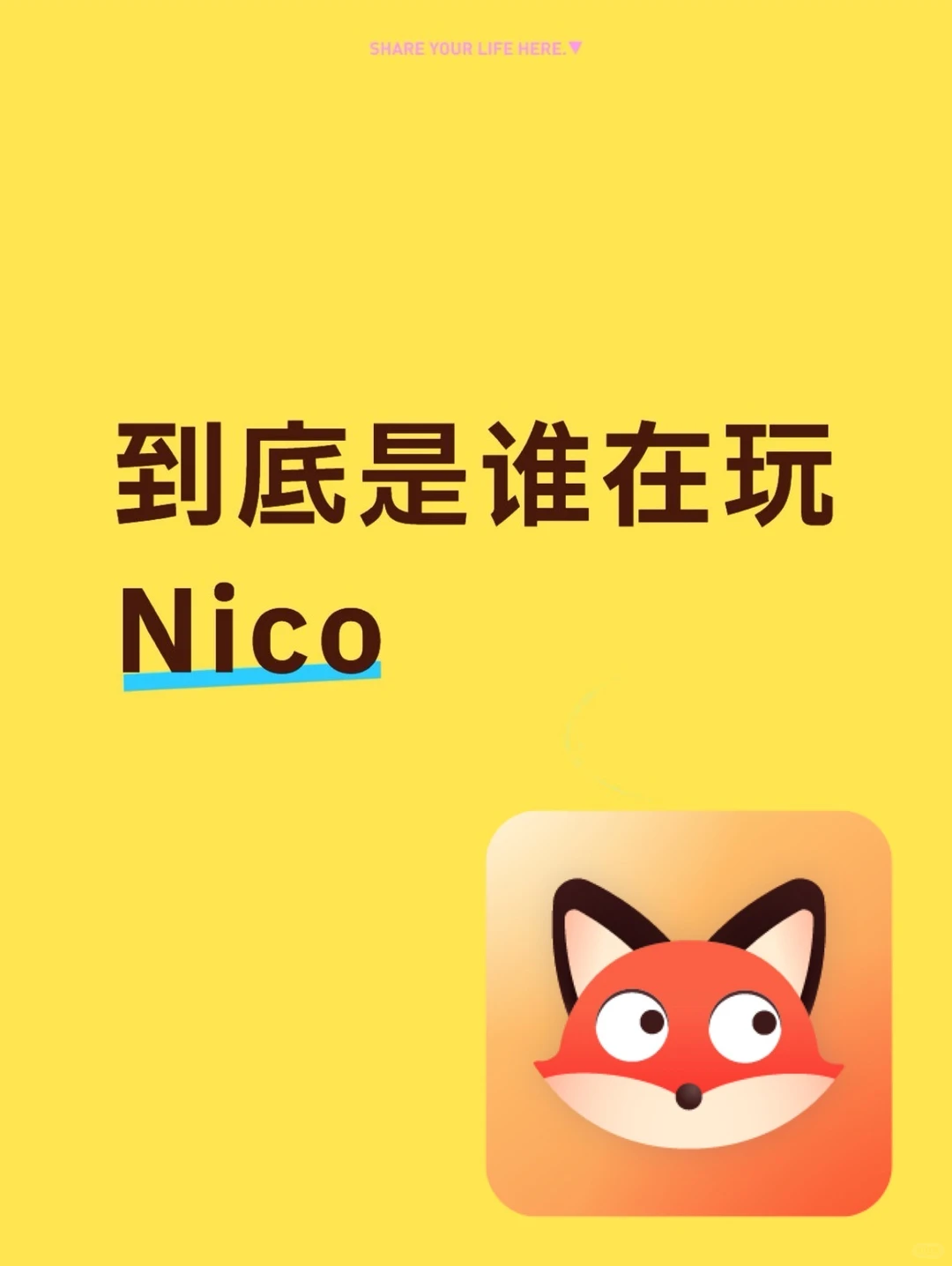 到底是谁在玩Nico啊