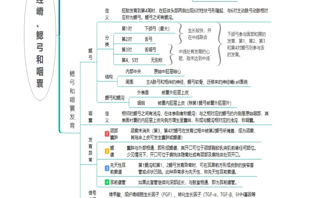 口腔医学 思维导图 马兵