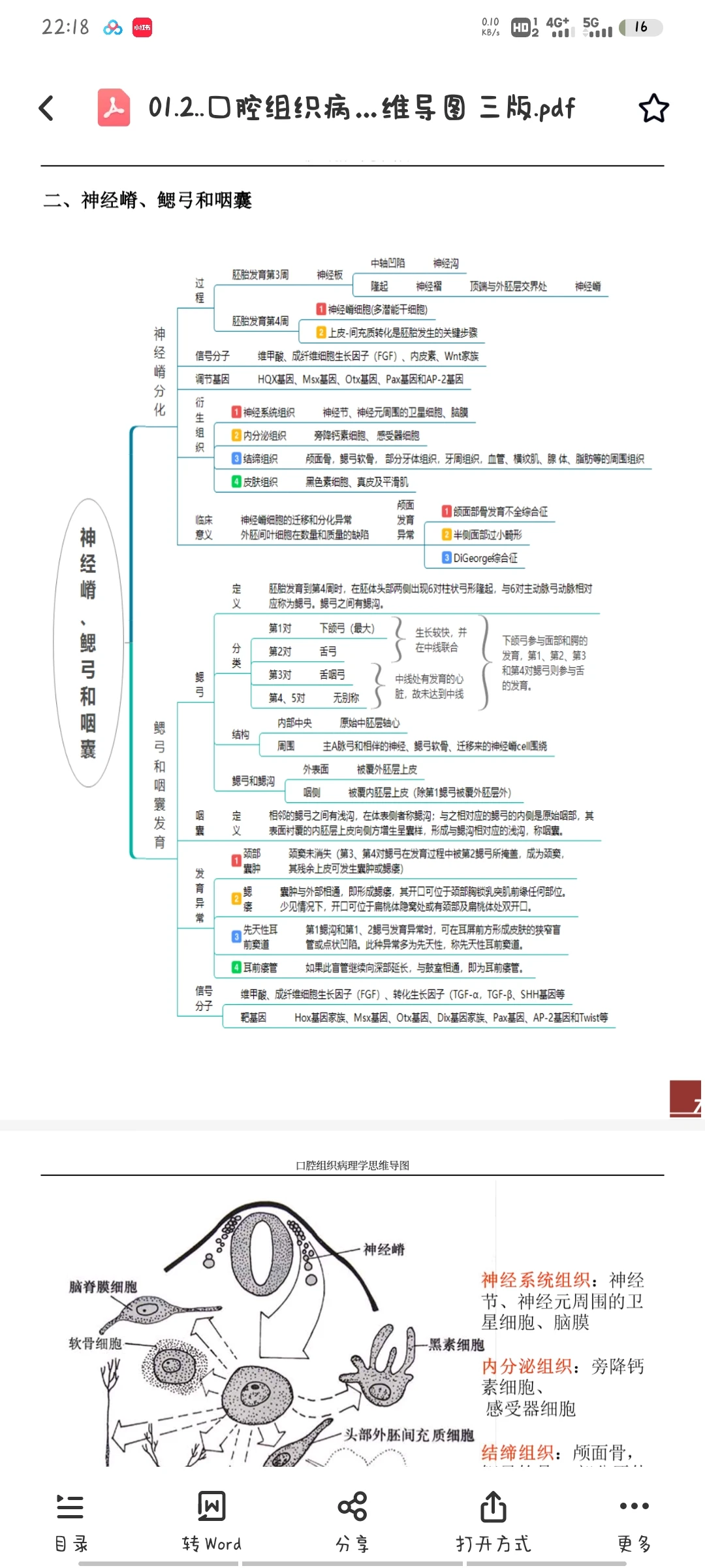 口腔医学 思维导图 马兵