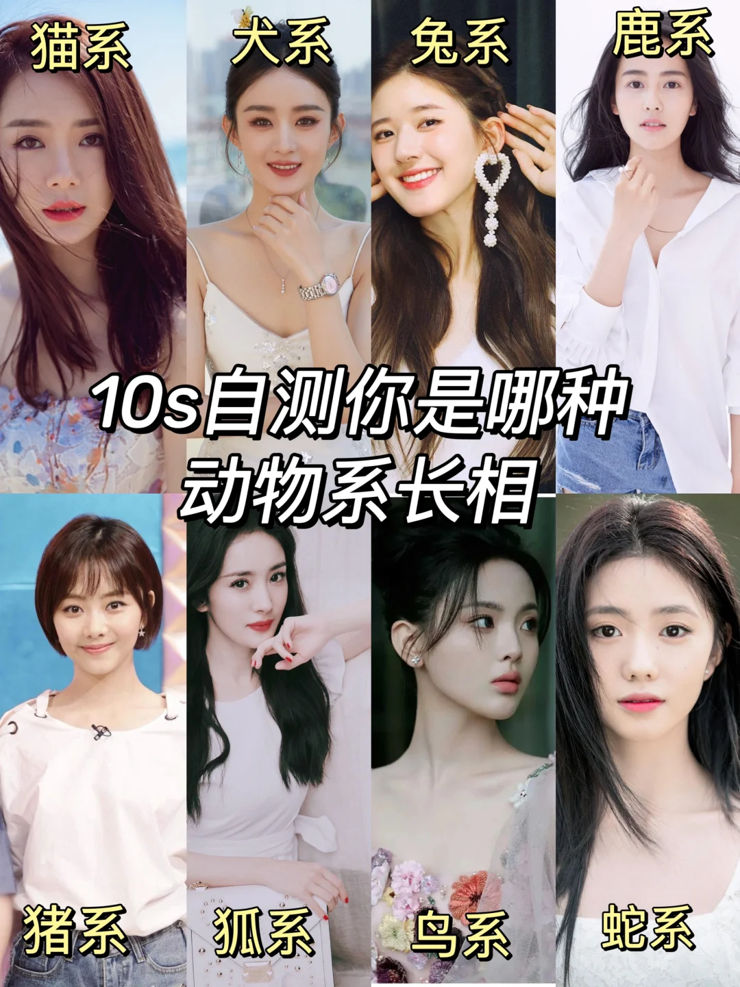 10s自测！你属于哪种动物系美女