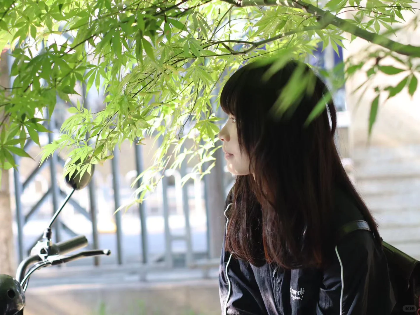 算是普通人中的小美女没人反对吧？