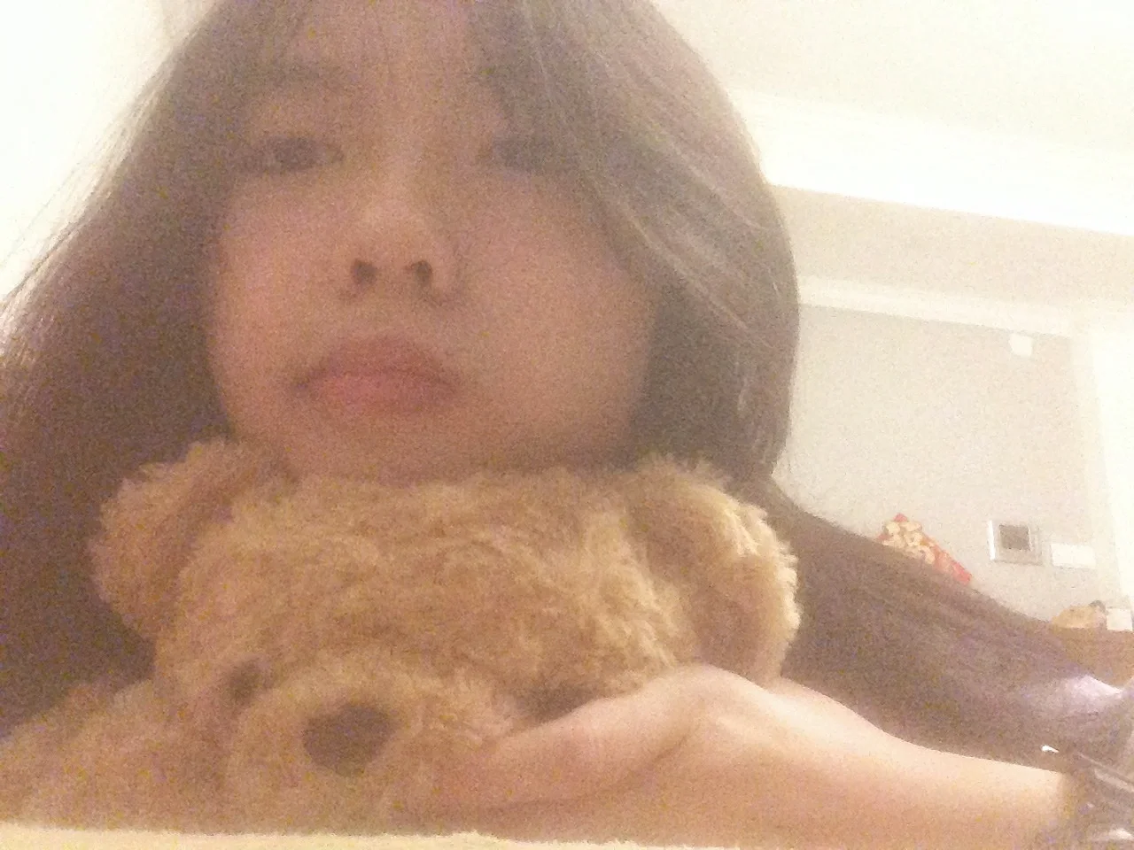 🐻