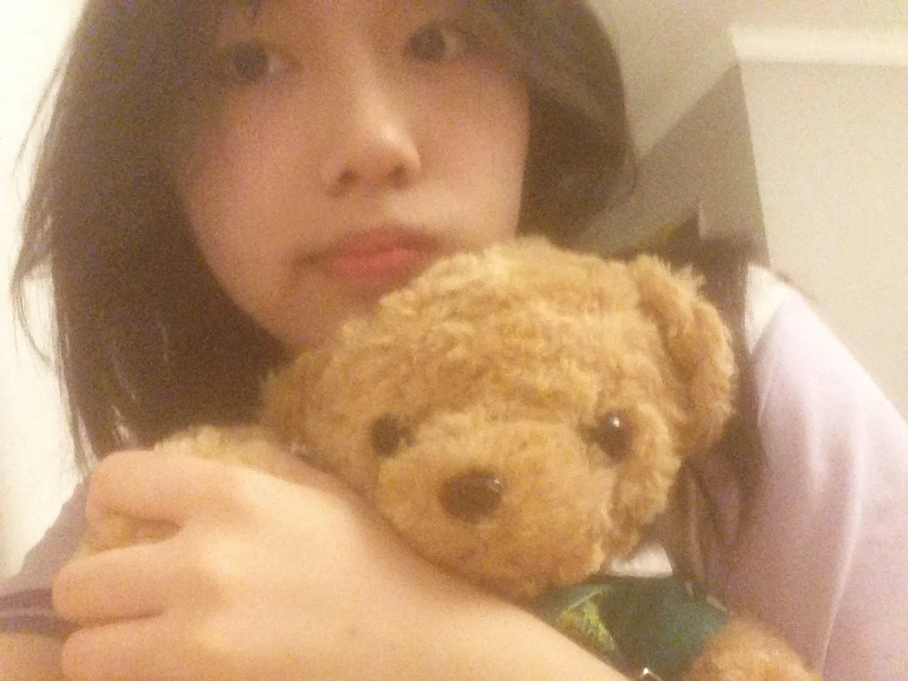 🐻