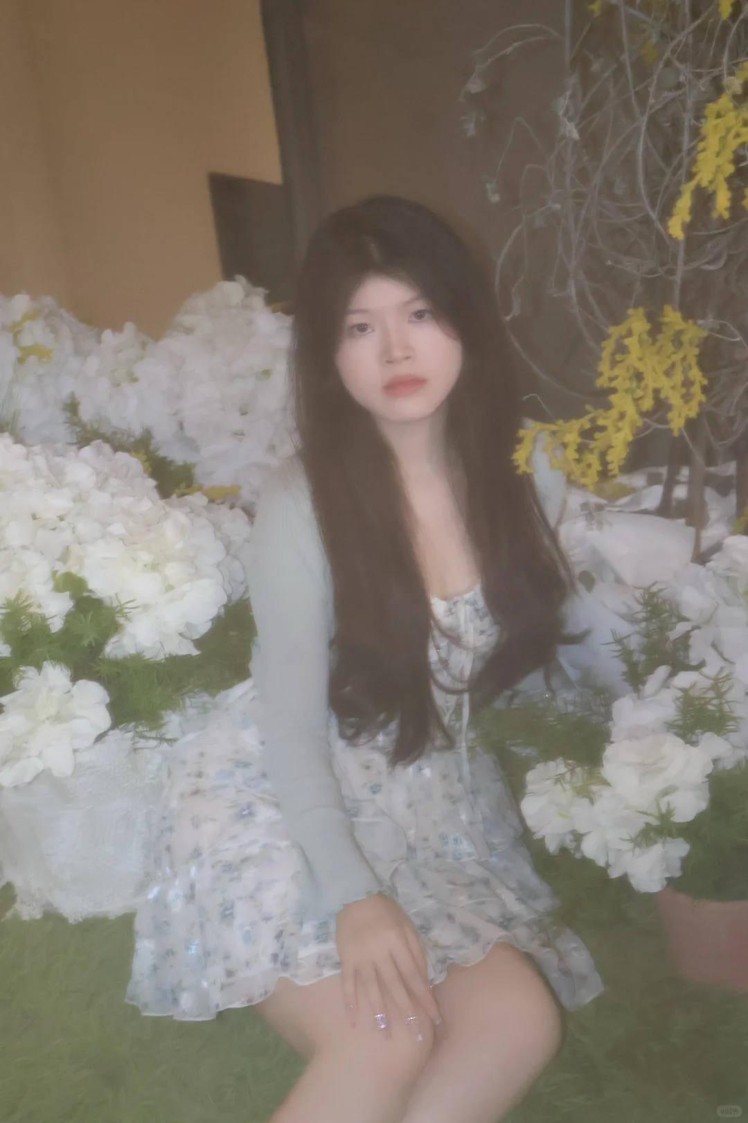 绣球花🍃广州这里也太好拍咯！！！