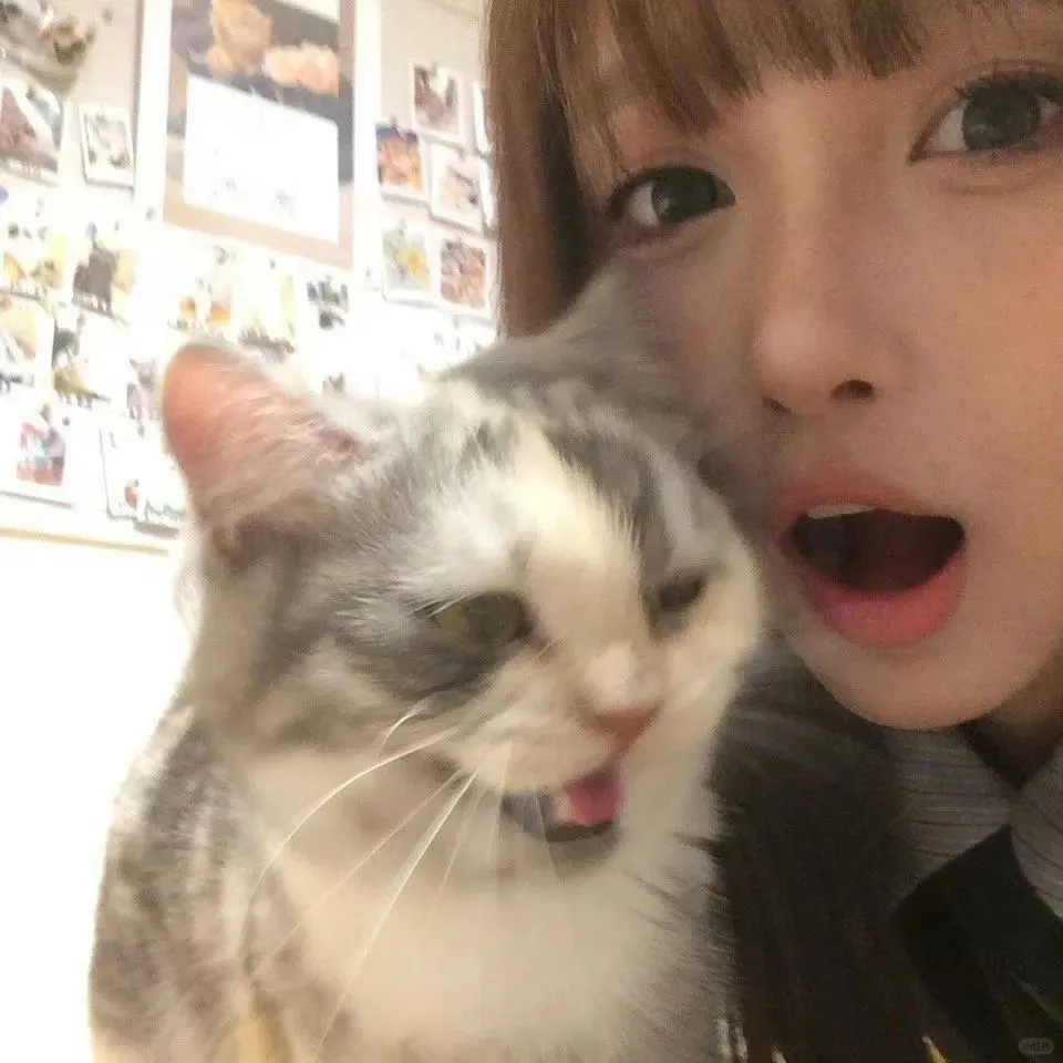 美女们看看我
