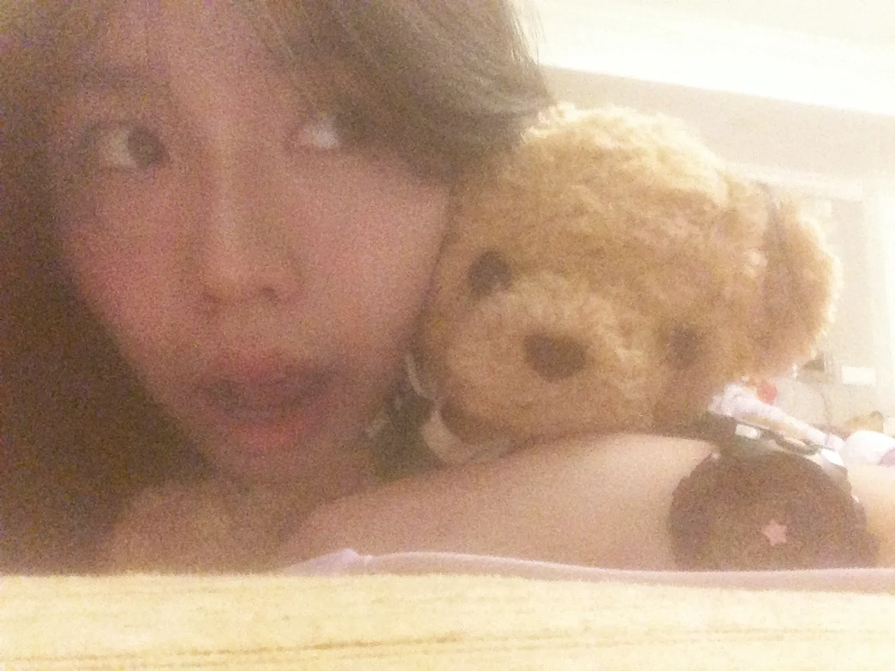 🐻
