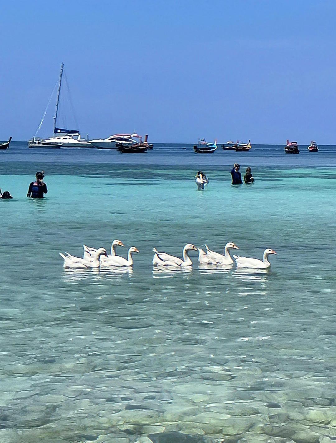 🥥sea moments🌴