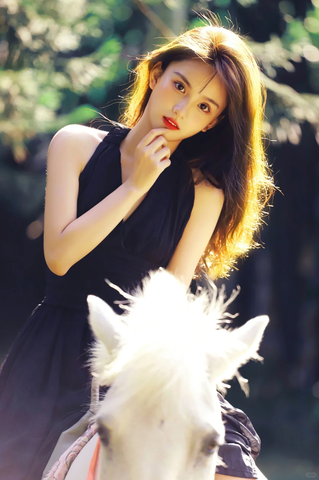 美女与马