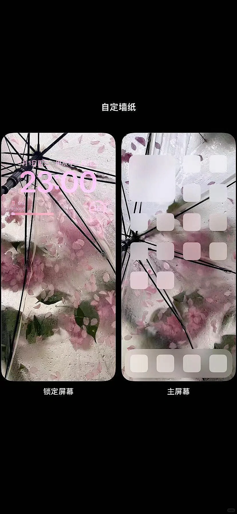 美女们该换壁纸啦！