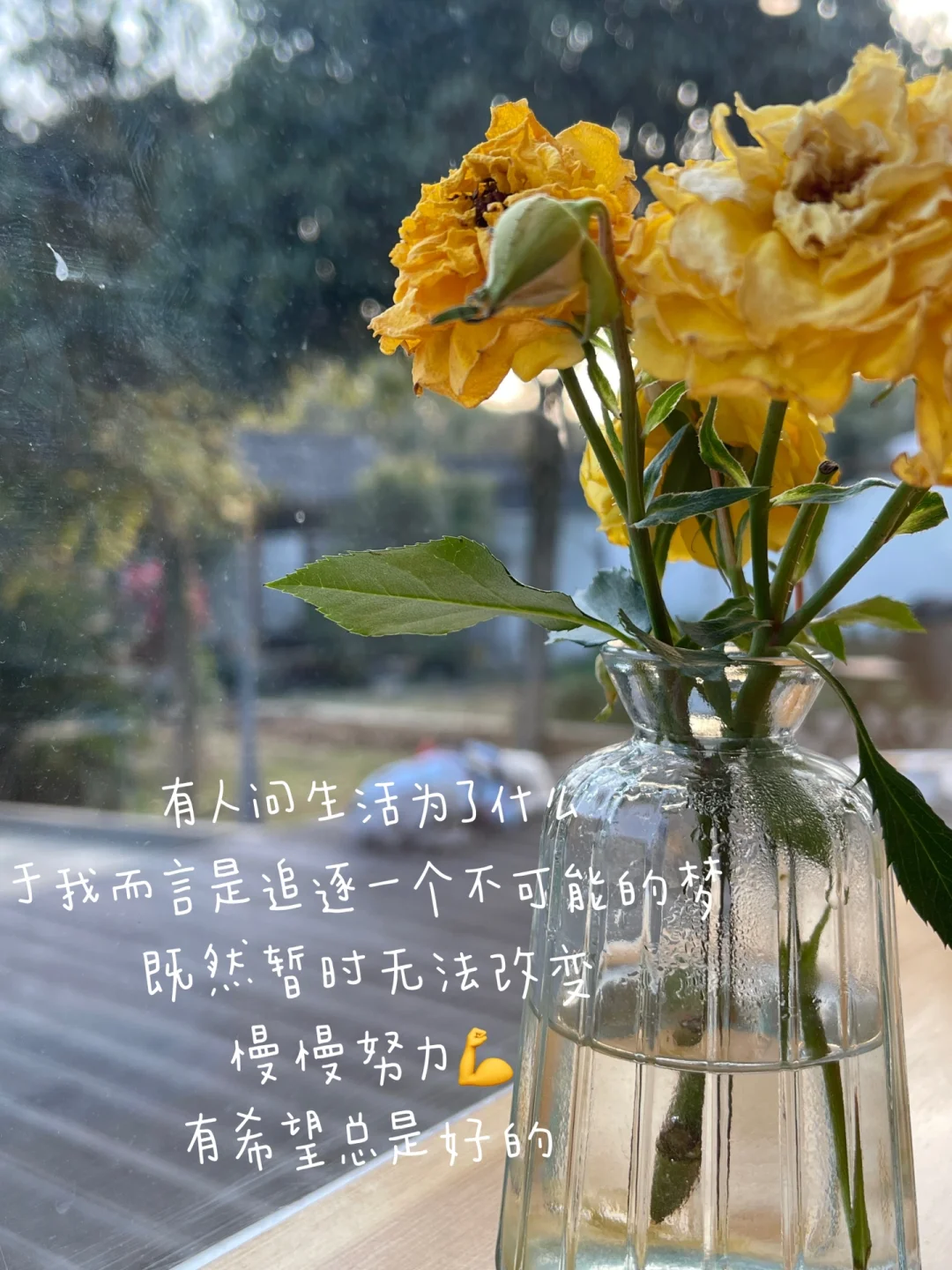 从喜欢一两件小事起，慢慢改变现状💪