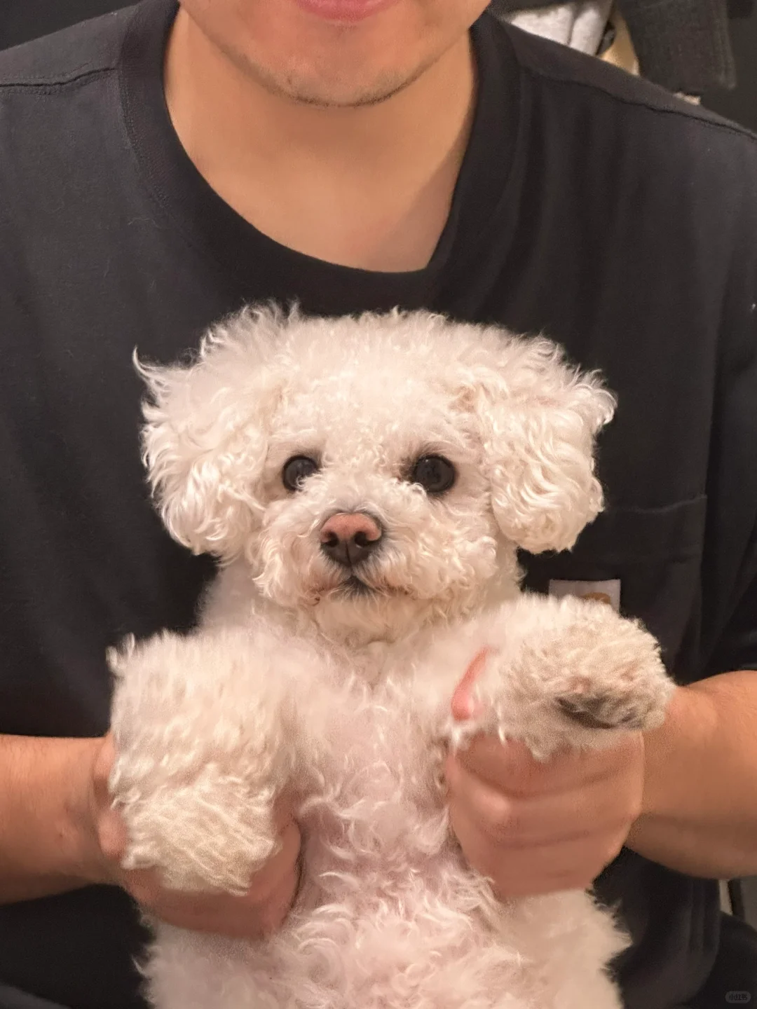 我们29是甜妹！！甜妹！！