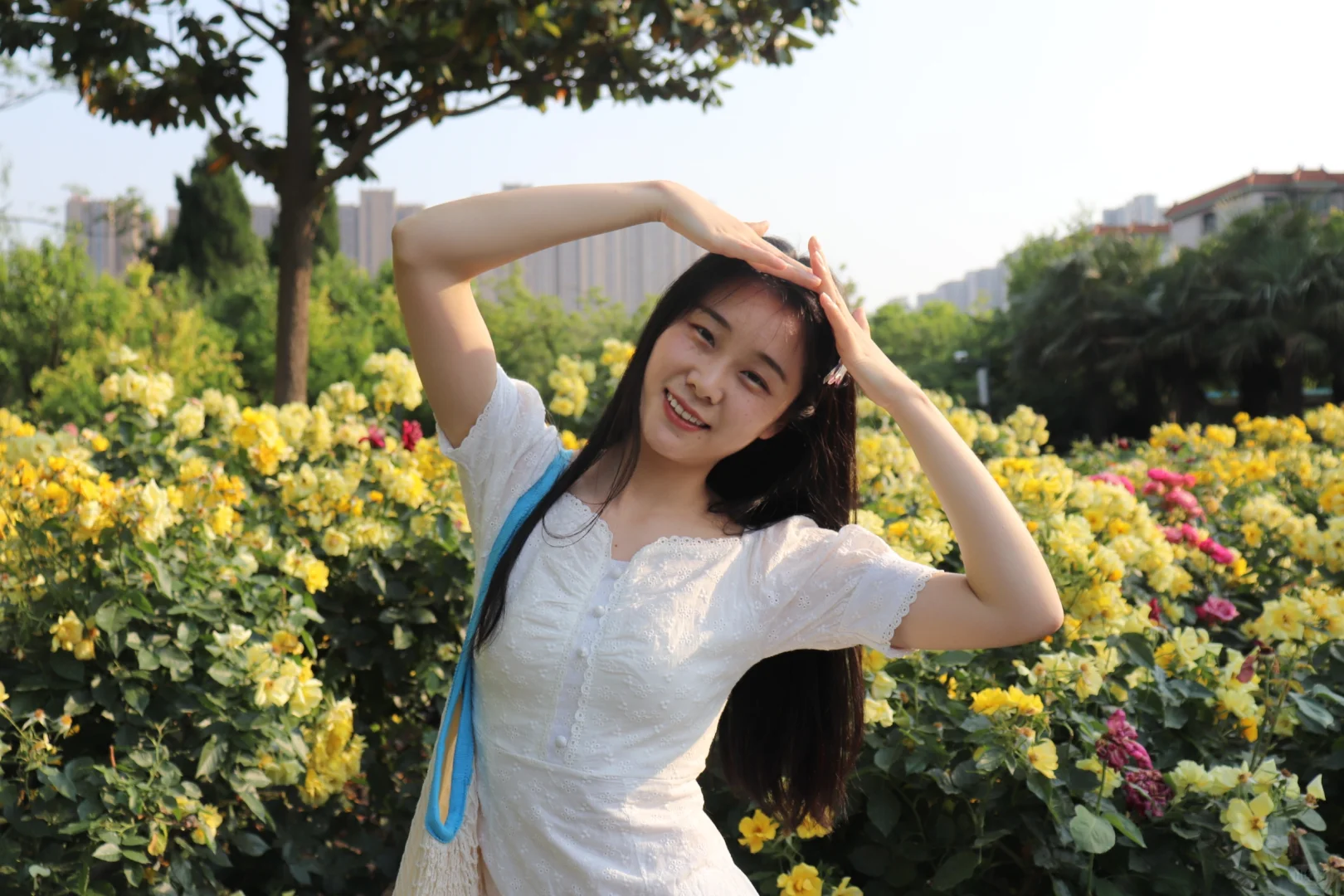 再不来花都要无了/郑州月季公园