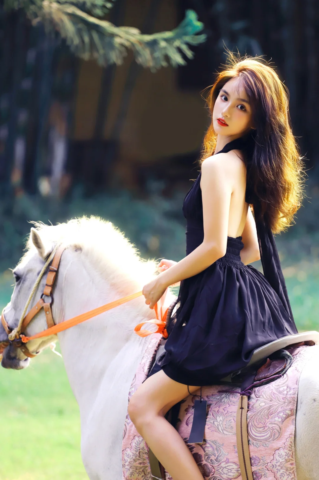 美女与马
