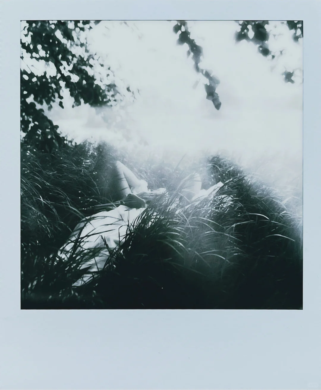 Polaroid | 忙里偷闲中寻找春天