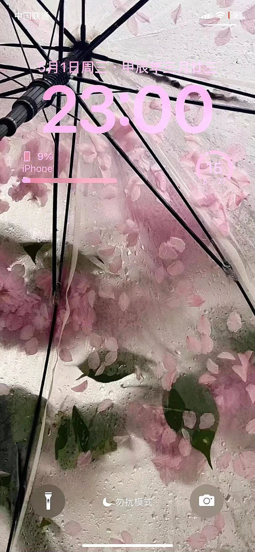 美女们该换壁纸啦！
