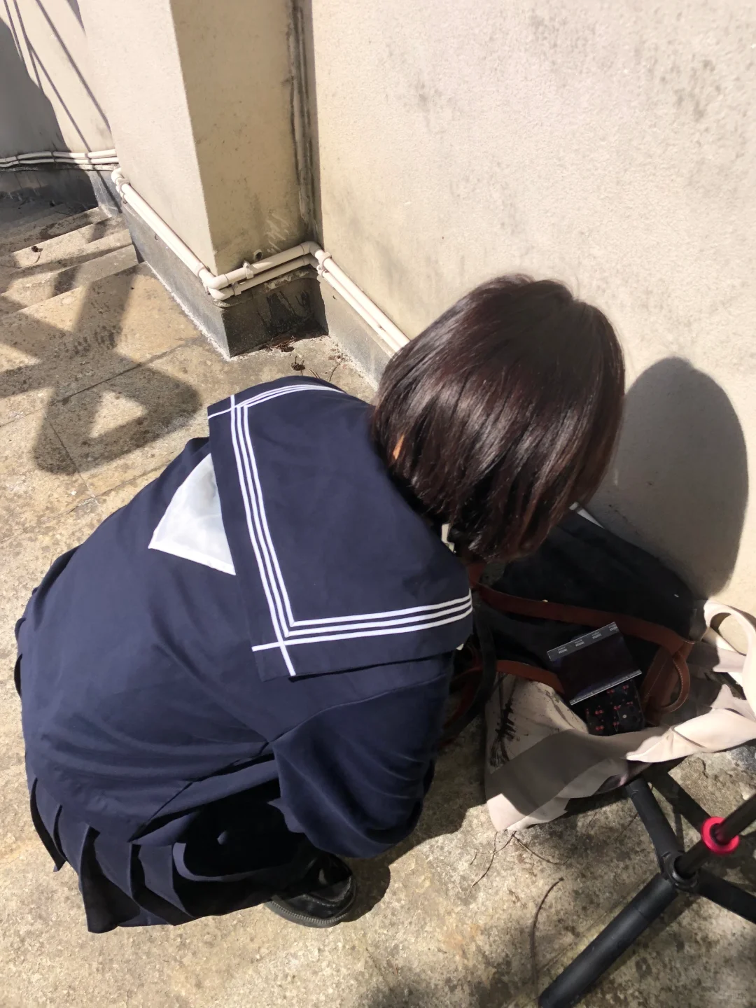 公园20分钟定律