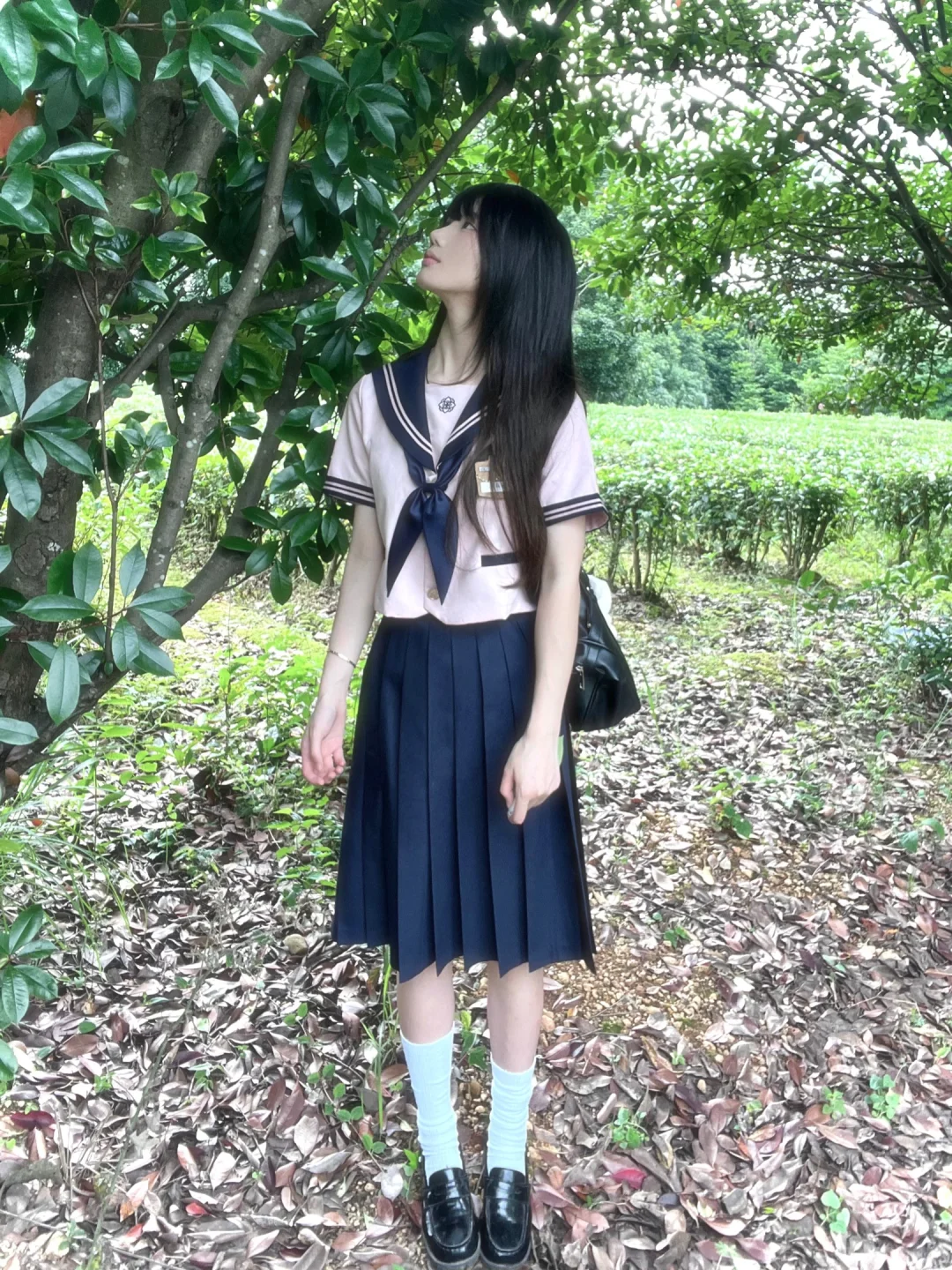 树荫斑驳