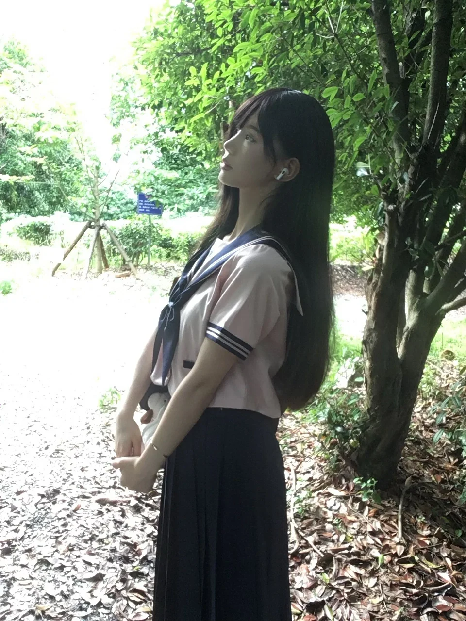 树荫斑驳