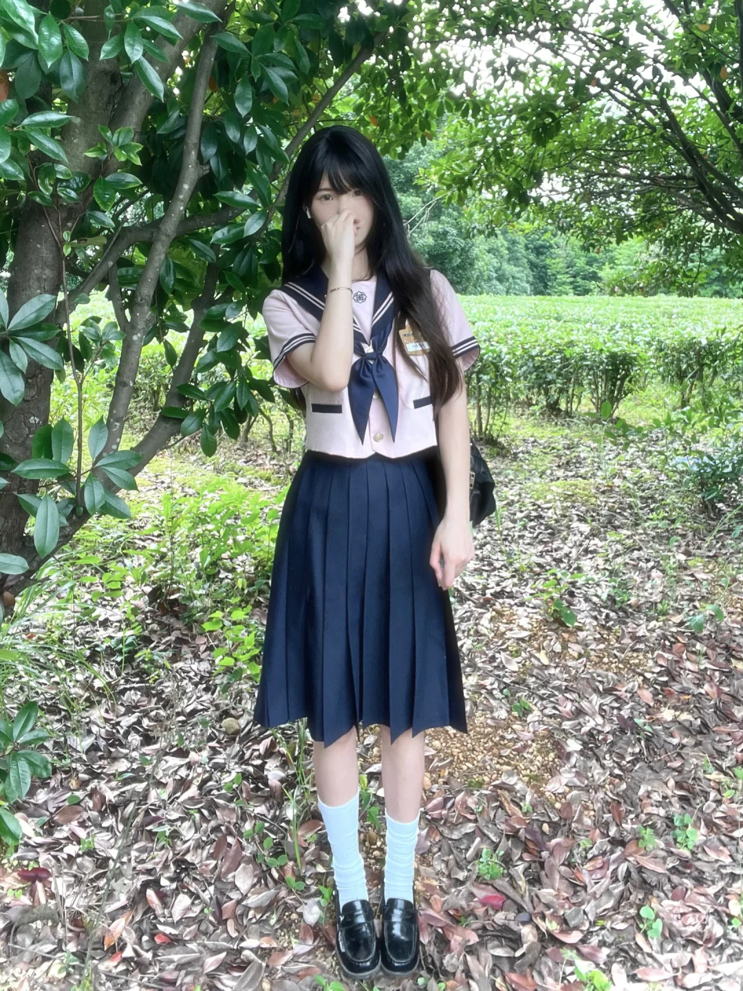 树荫斑驳