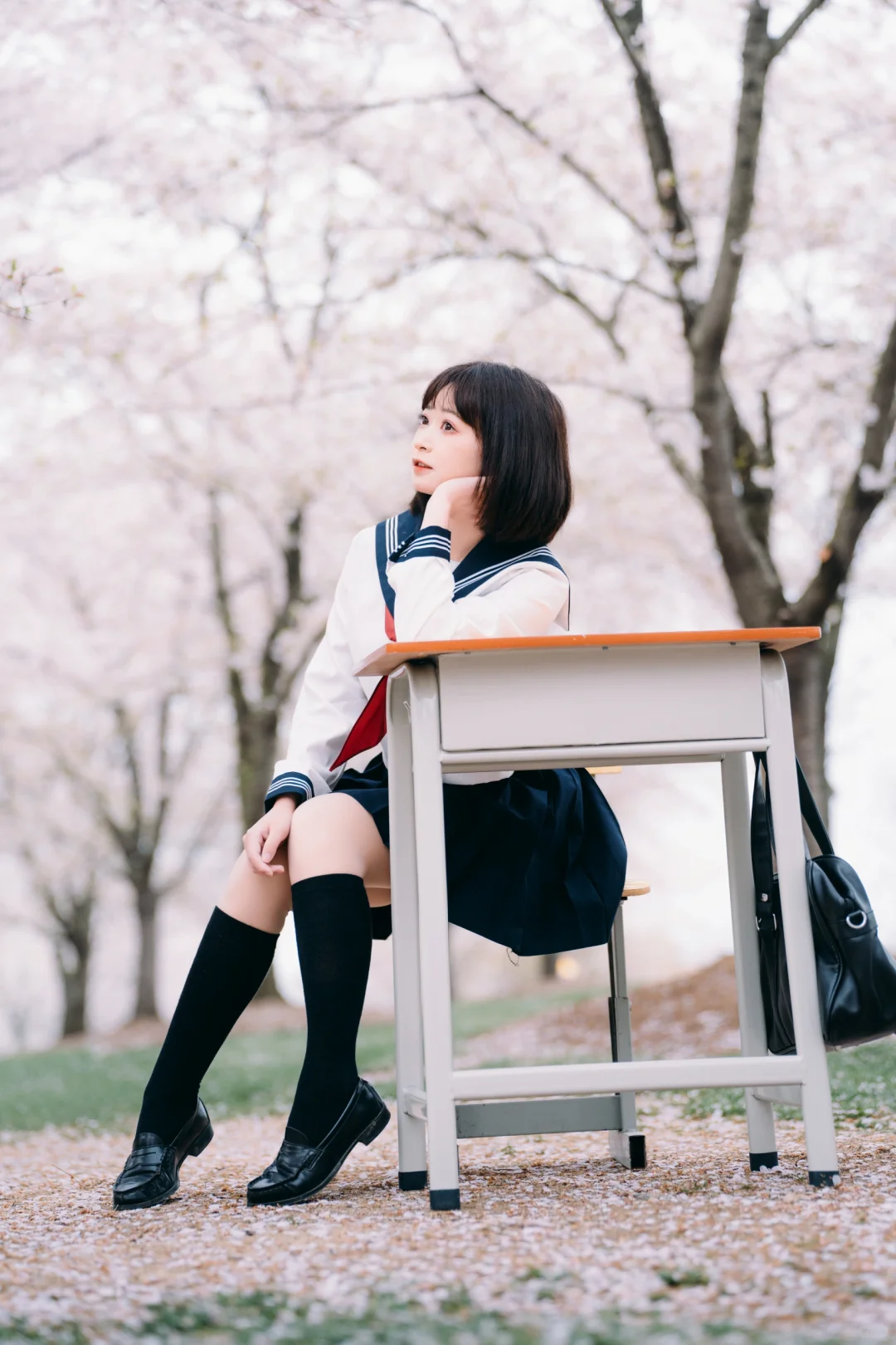 春天樱花JK制服少女写真