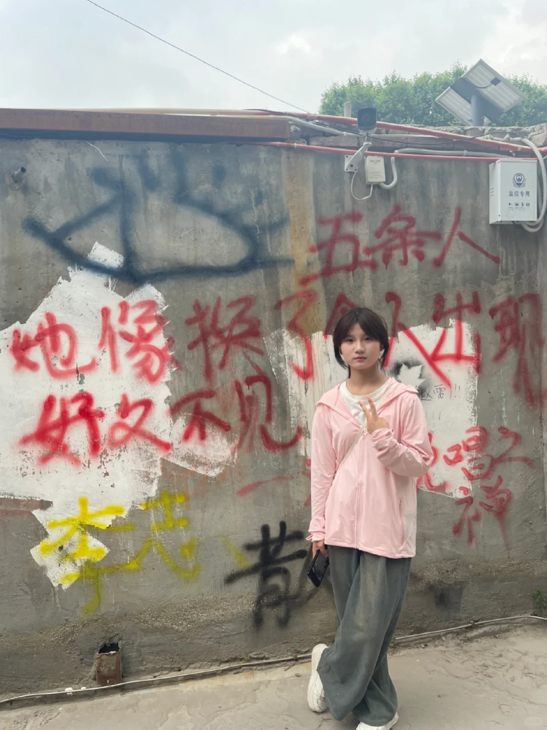 游客照啦