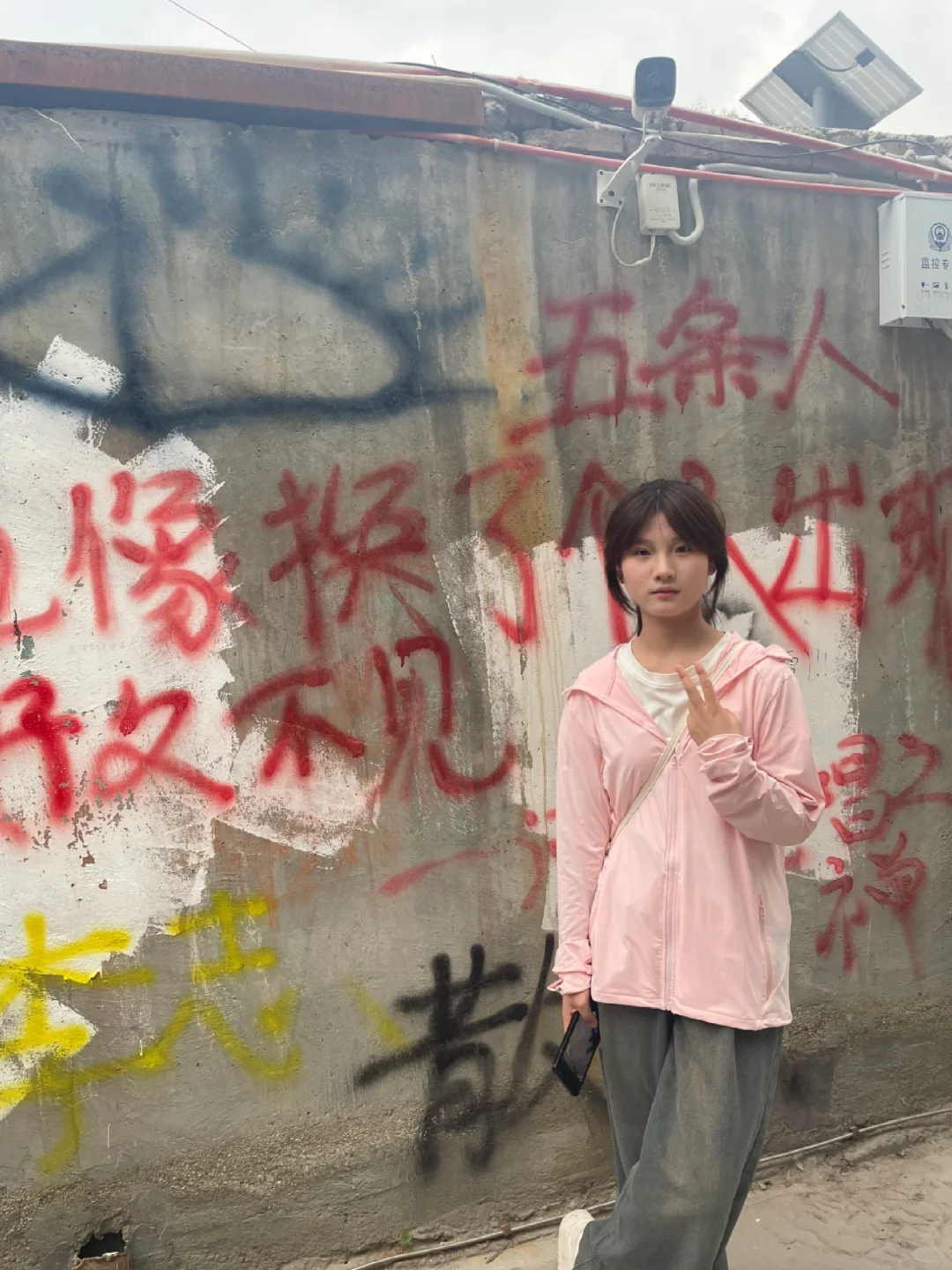 游客照啦