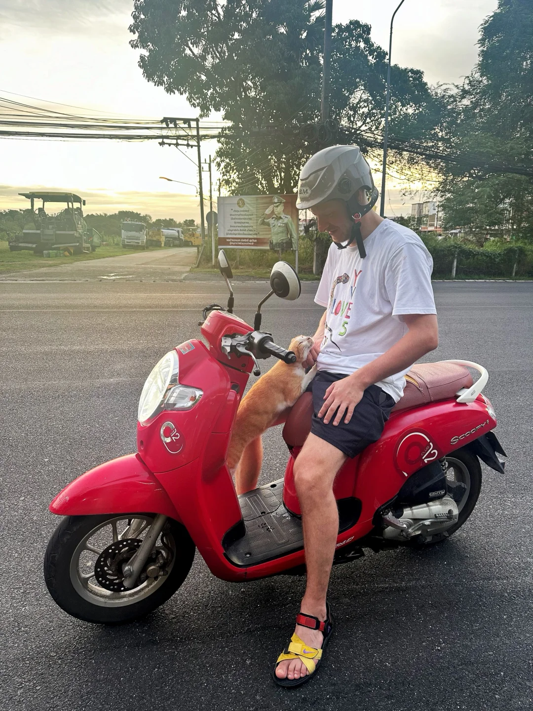 风吹日晒自由自在