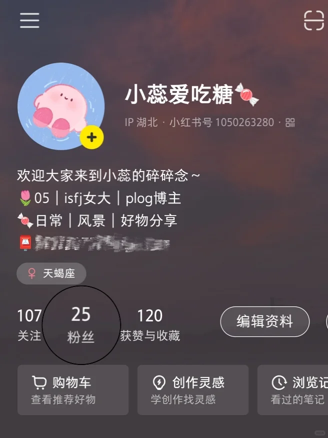 🌷PLOG｜新人博主的第2️⃣天
