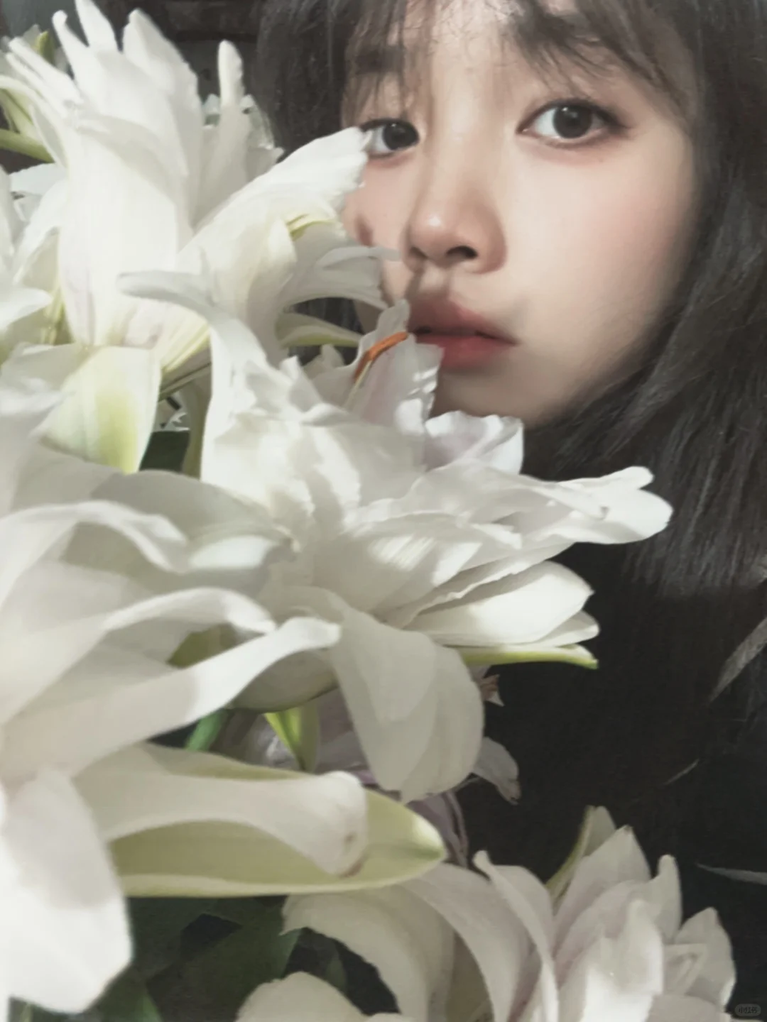 🌸(*´I`*)🌸