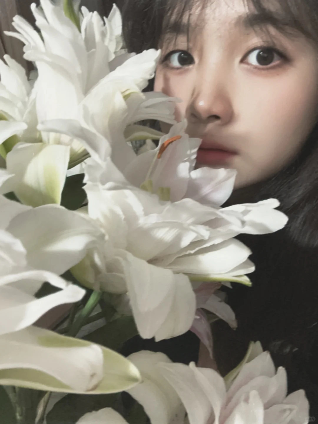 🌸(*´I`*)🌸