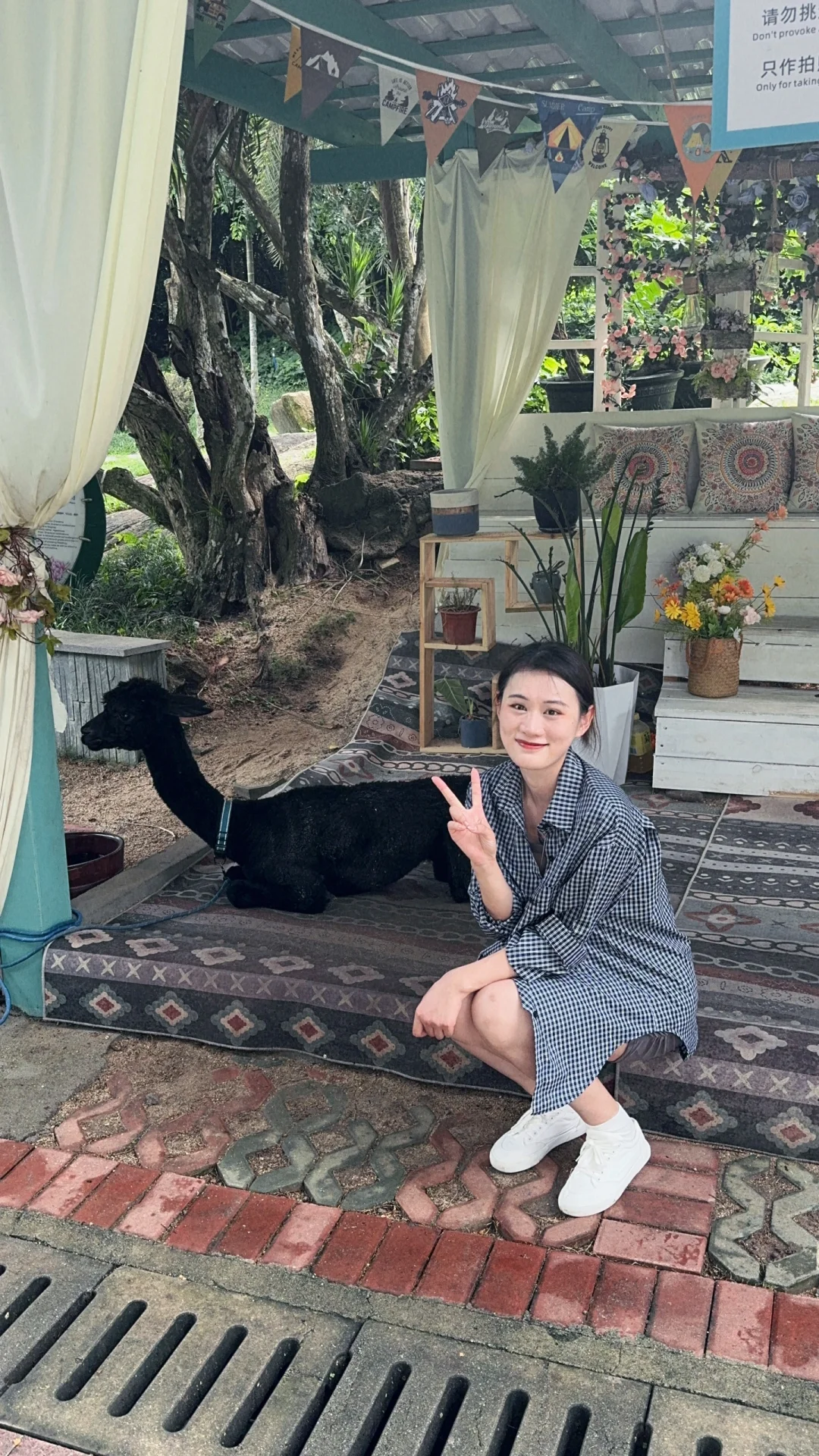 谁是甜妹 我