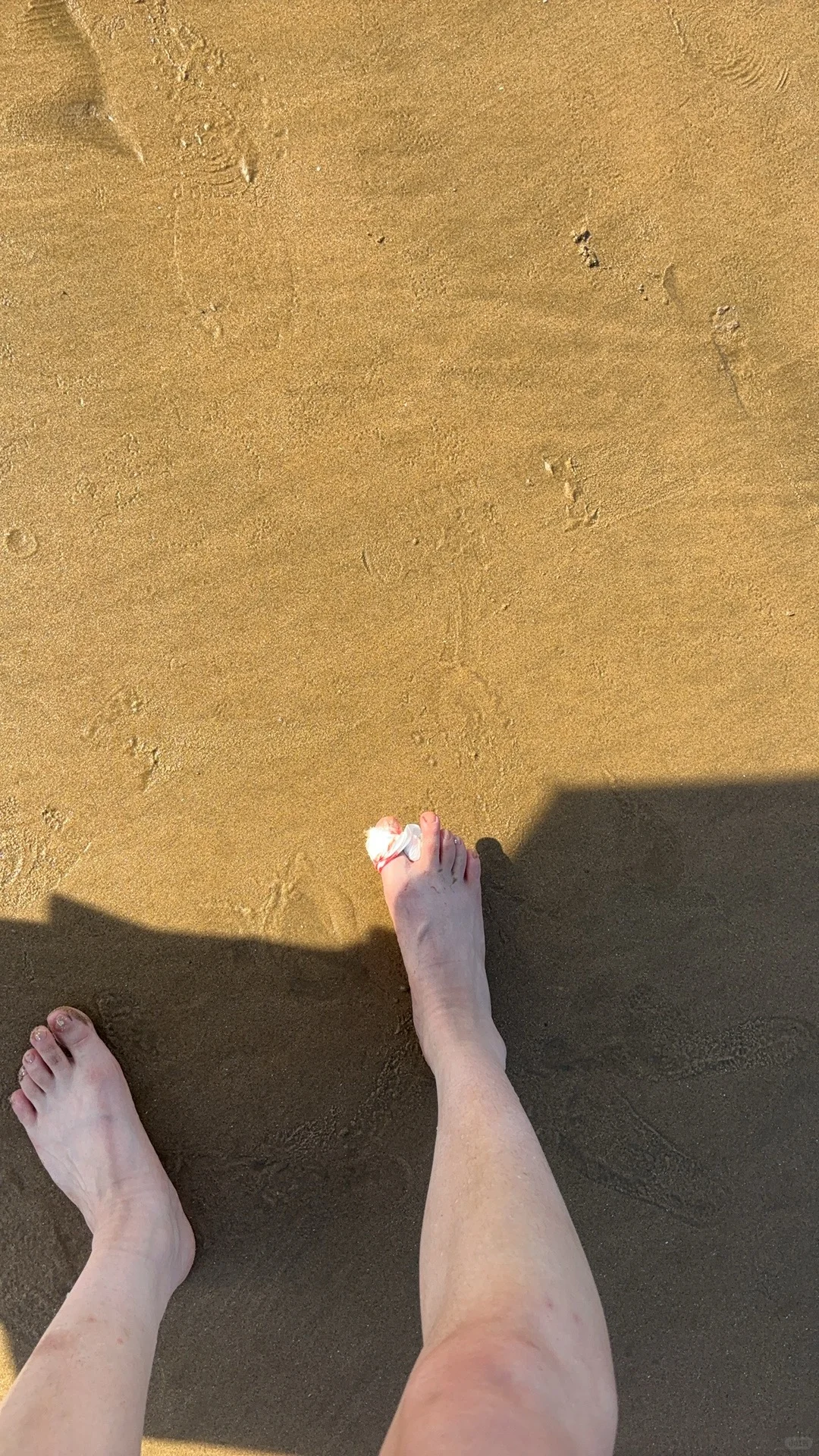 来看江浙沪的海边了！