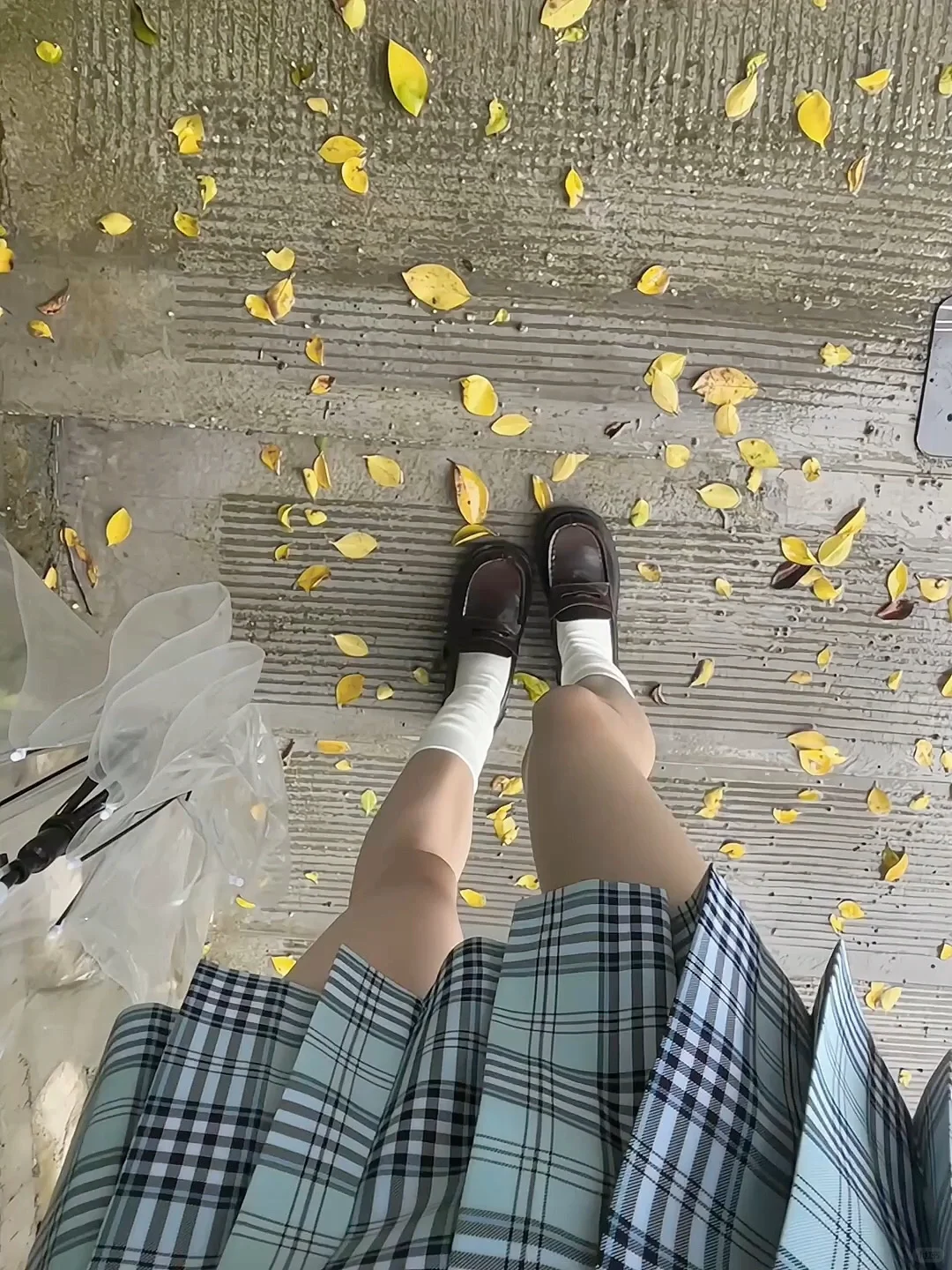 ₍ᐢ=•ㅅ <