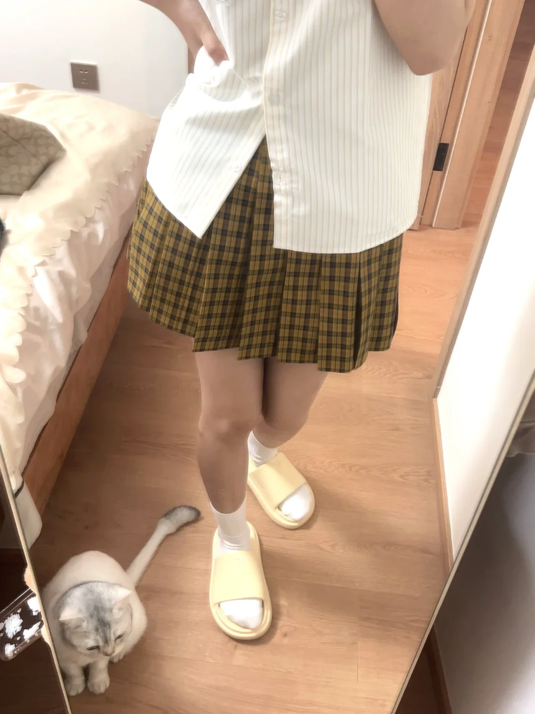 向日葵🌻