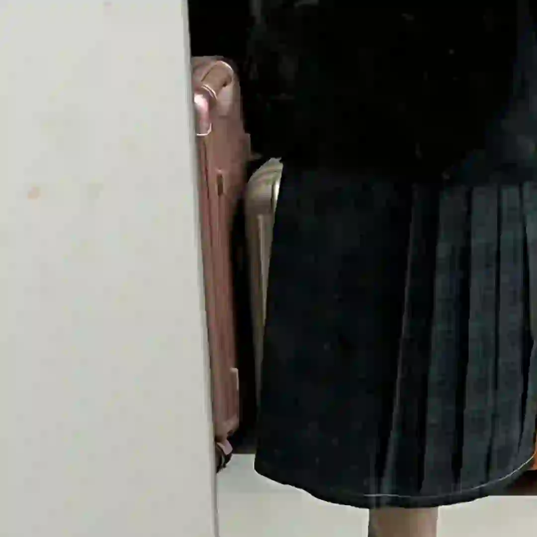 70cm海苔