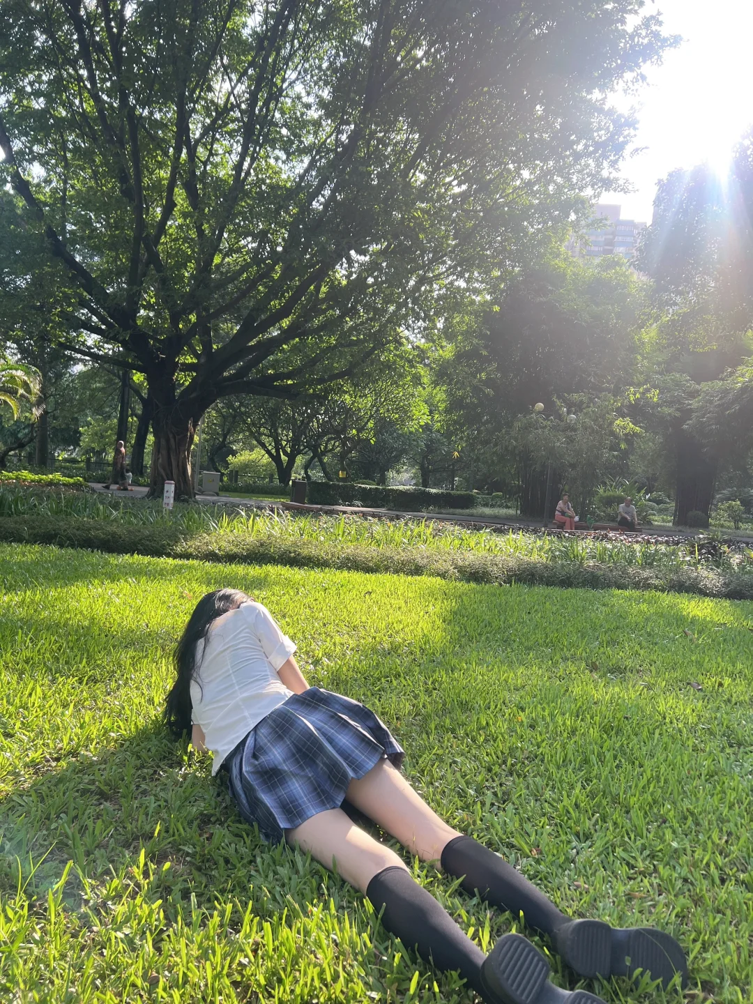 晓港公园草坪拍照