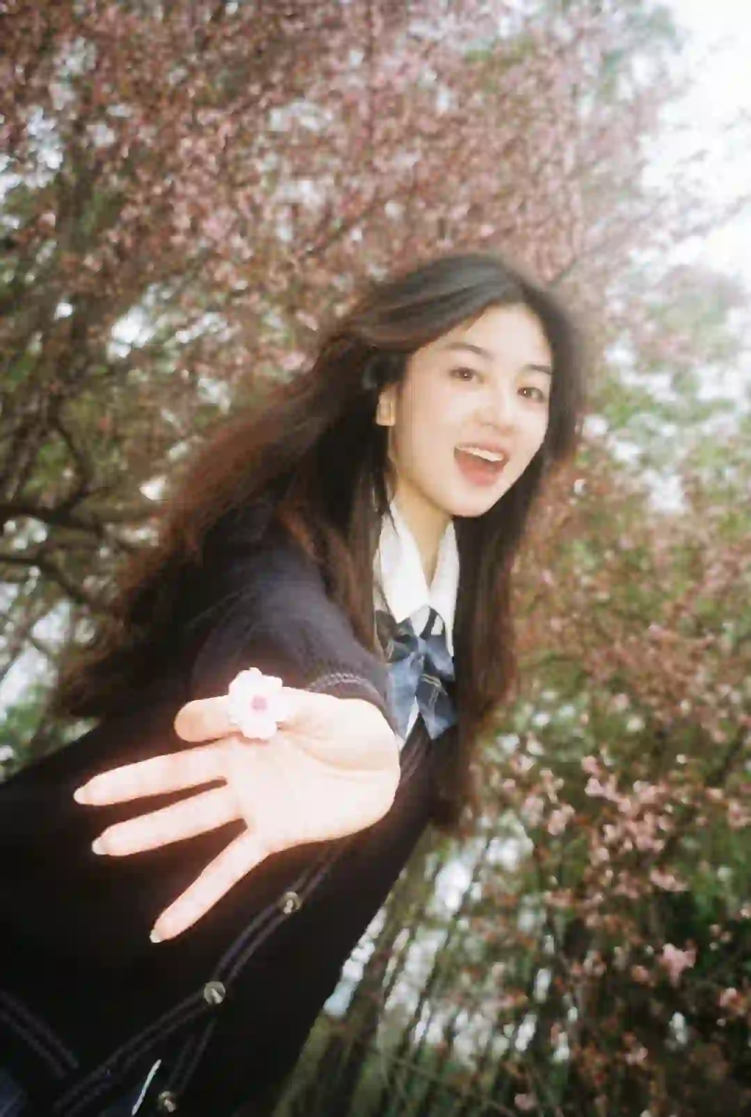 春天的过期罐头🌸