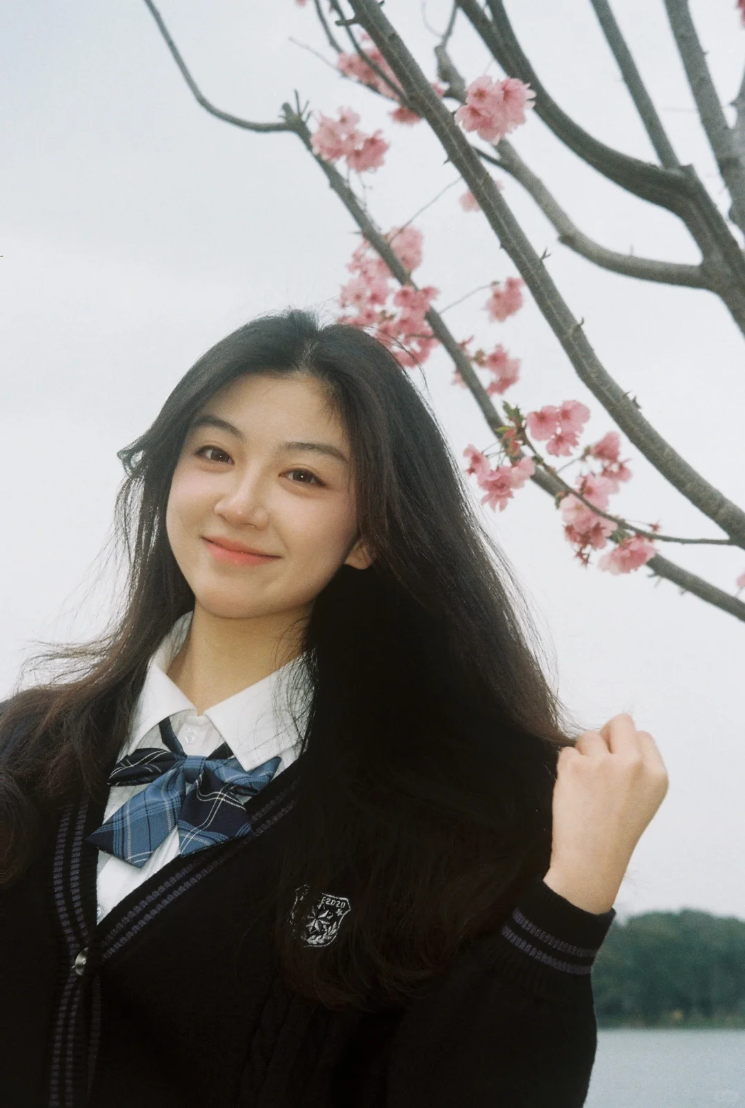 春天的过期罐头🌸