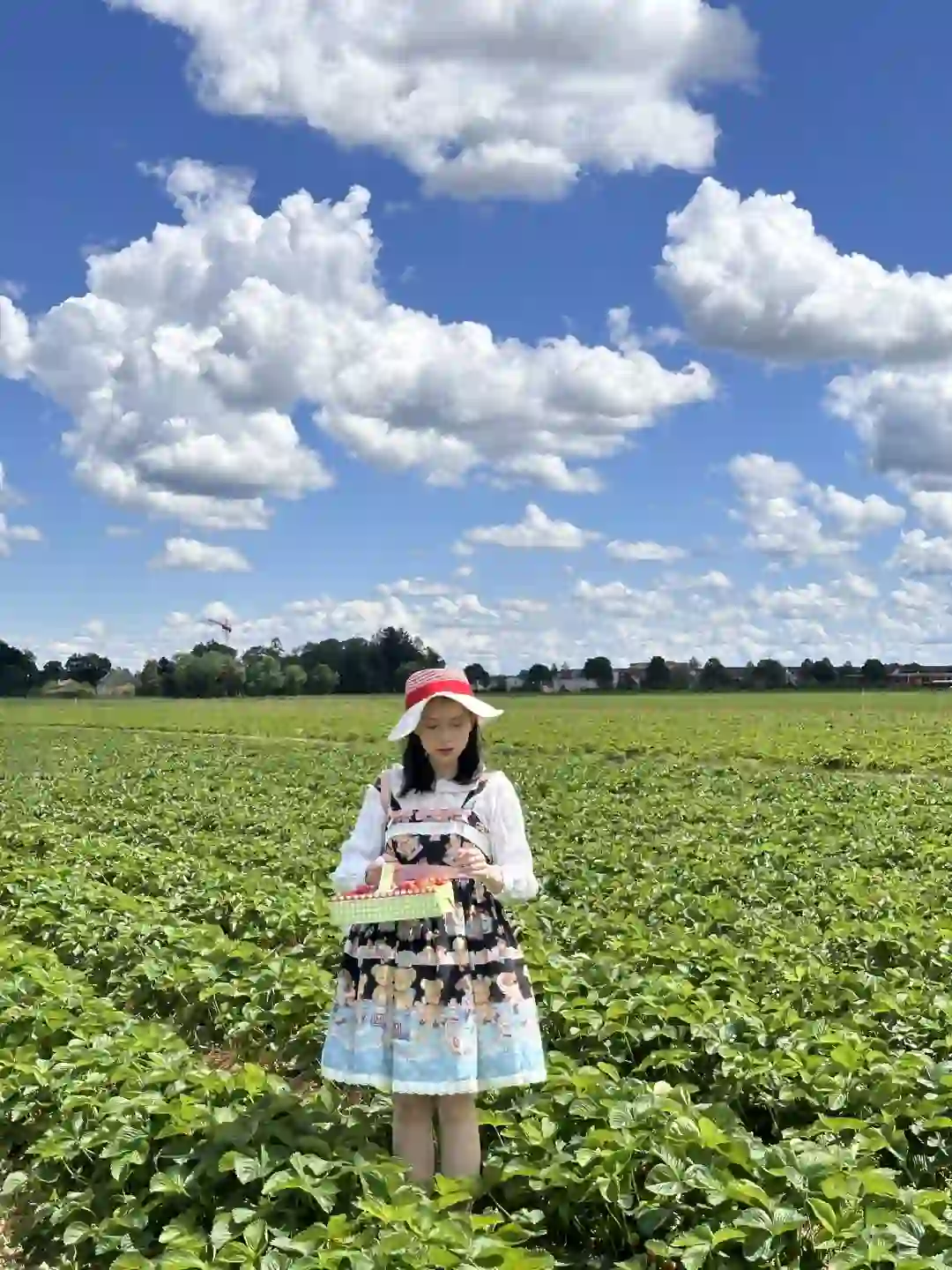 是谁2024年还在穿核桃博物馆玩具周年？
