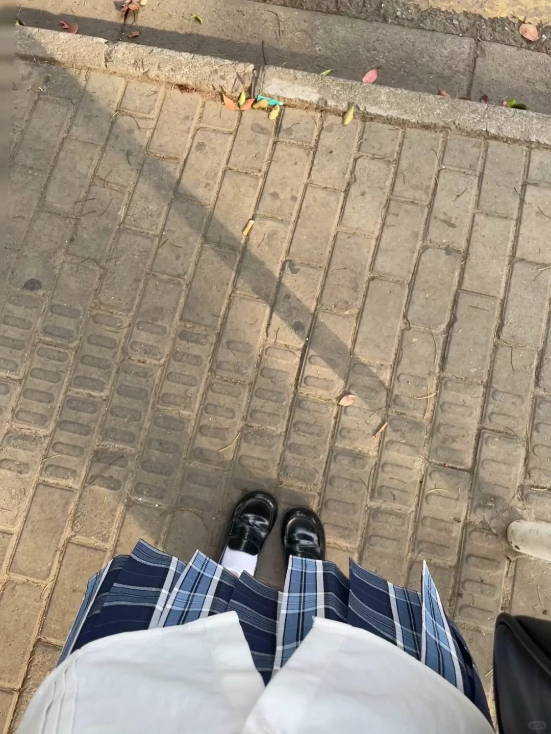 豪堪🥰