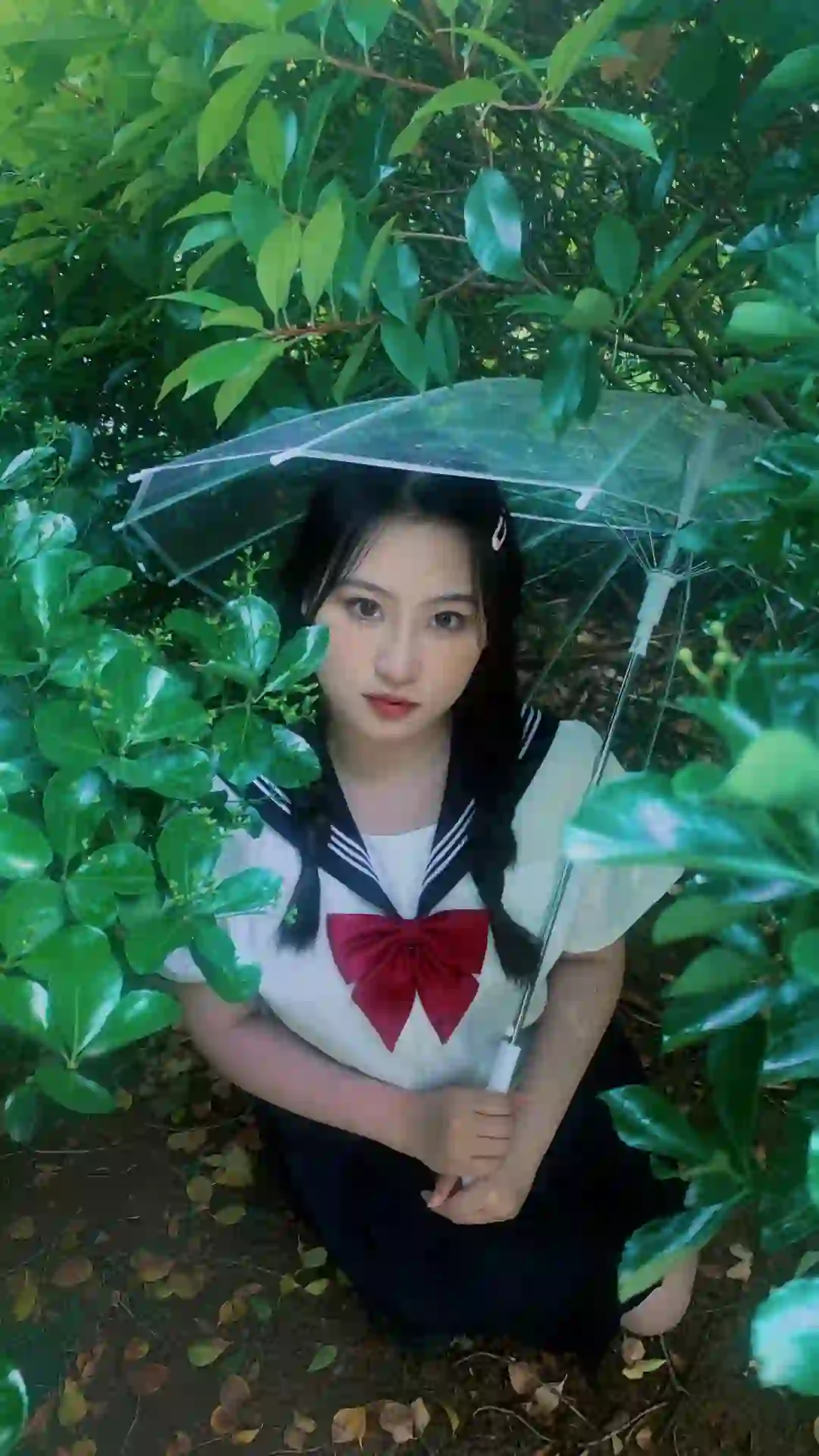 但盼风雨来