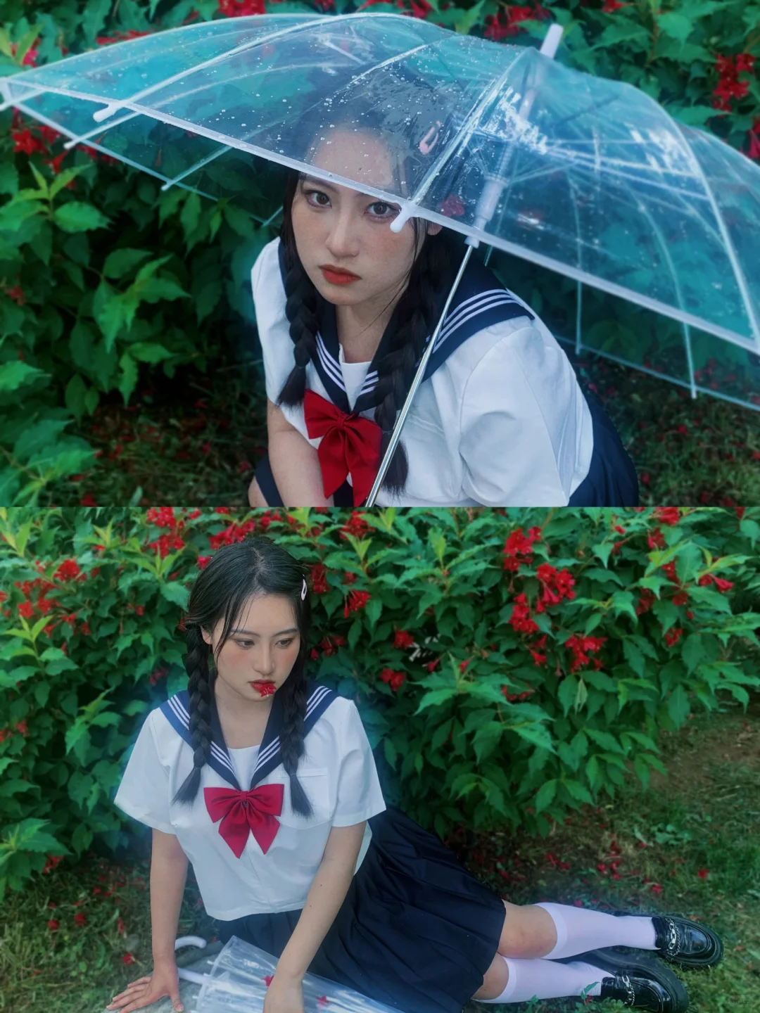 但盼风雨来