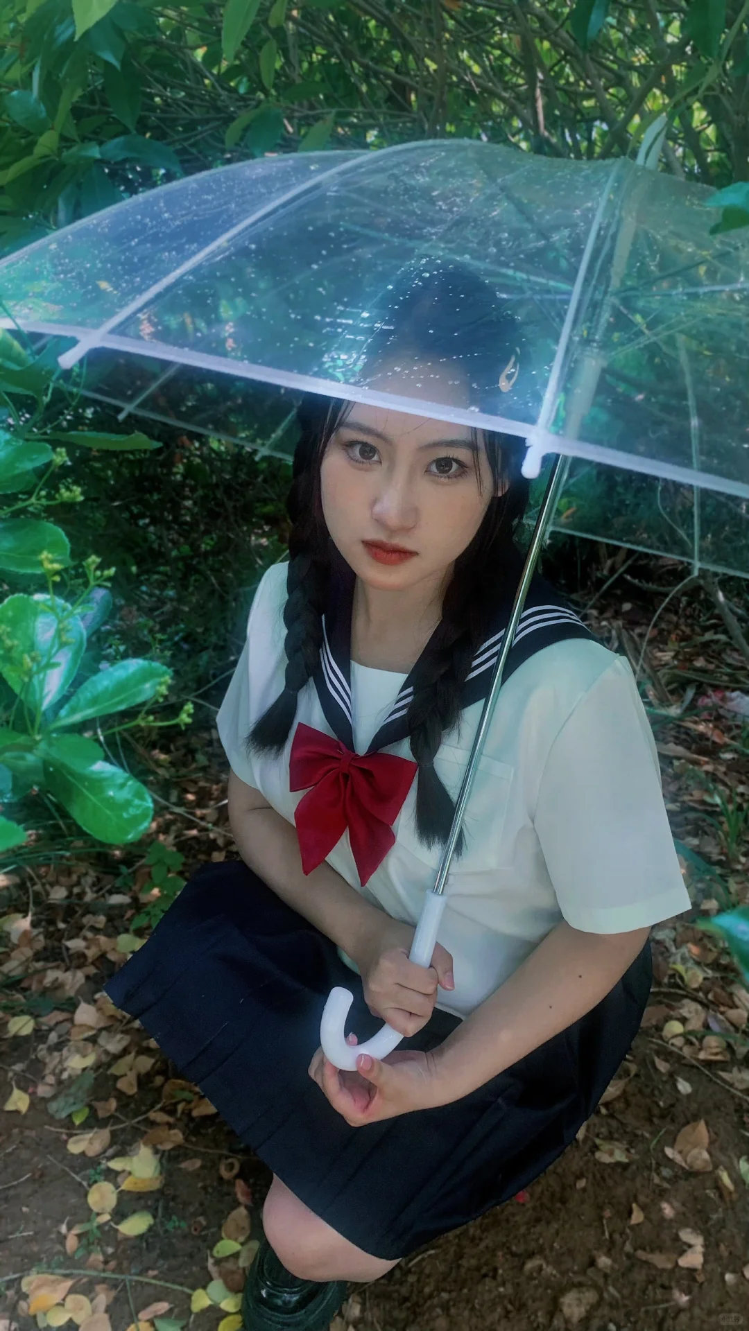 但盼风雨来