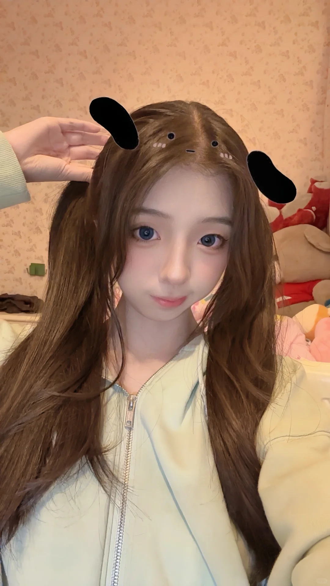 帕恰狗babe