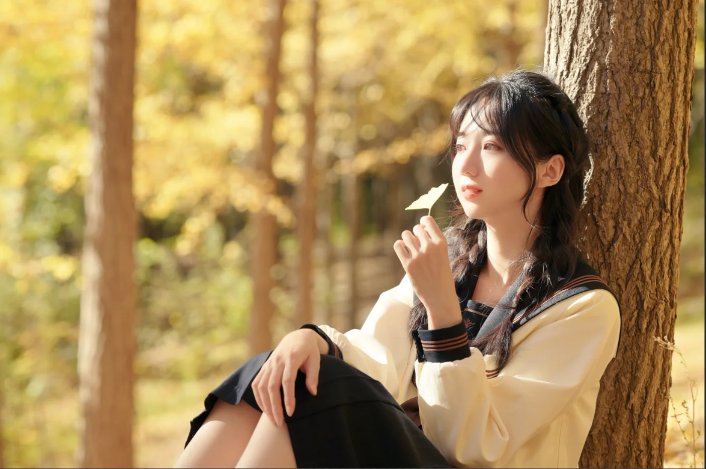 抓住了 是秋天的暖阳｜银杏拍照🍂